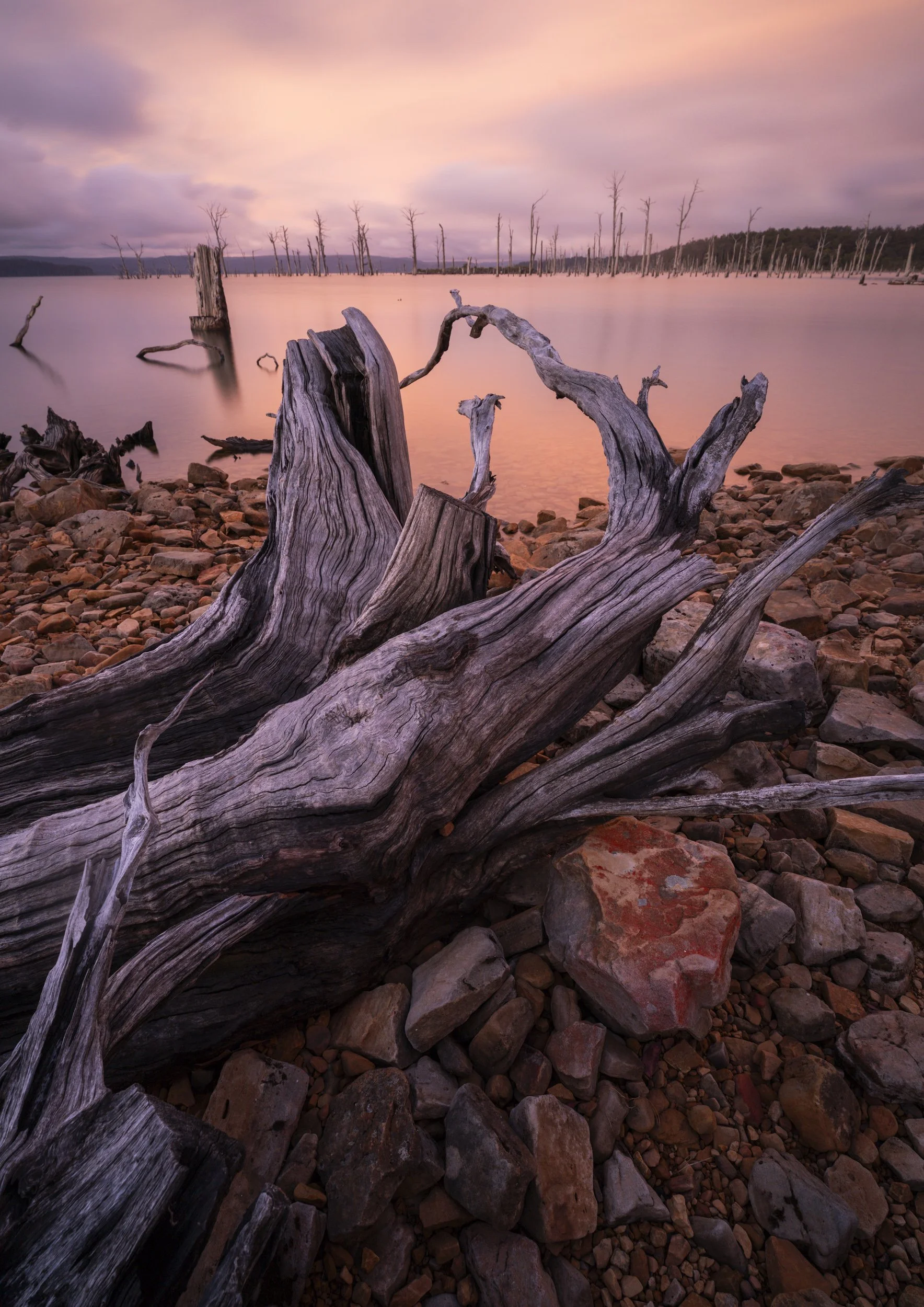 Existential Shoreline | Lake Echo