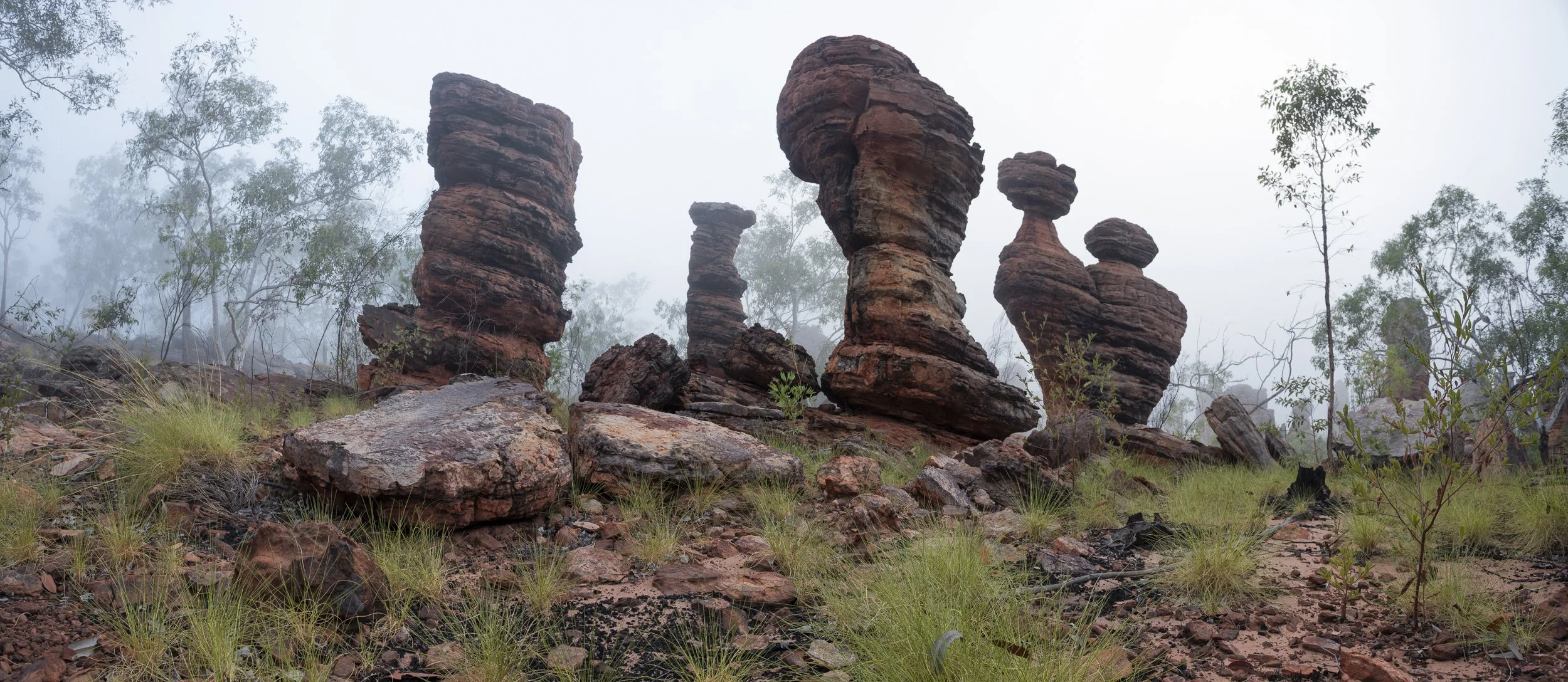 IMG_8558-Pano.jpg