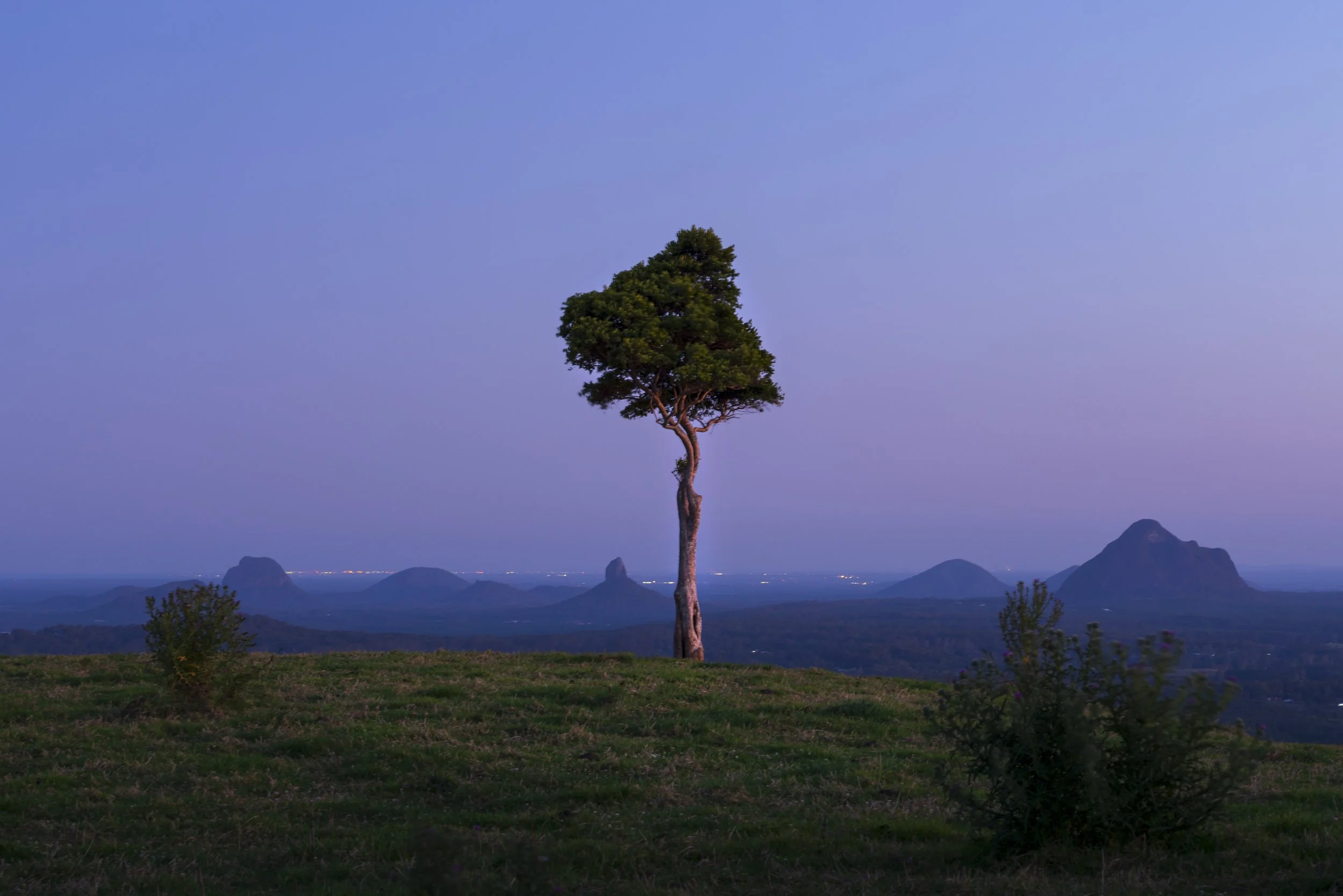 DSC04801-Edit.jpg
