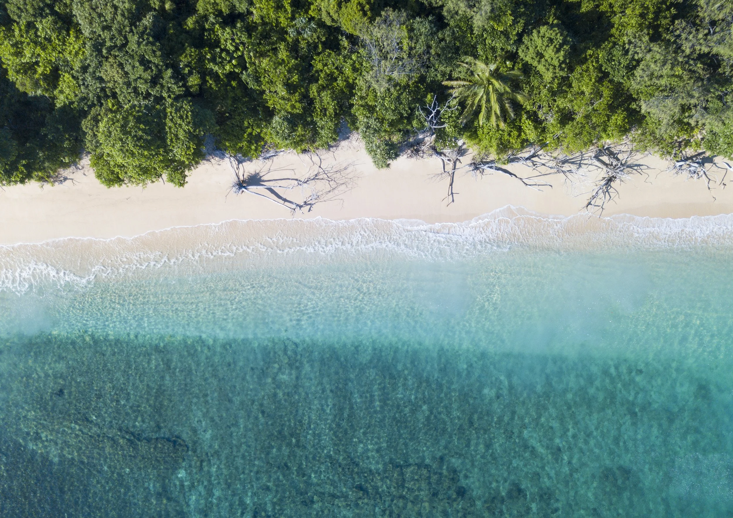 Rainforest to Reef | Frankland Islands