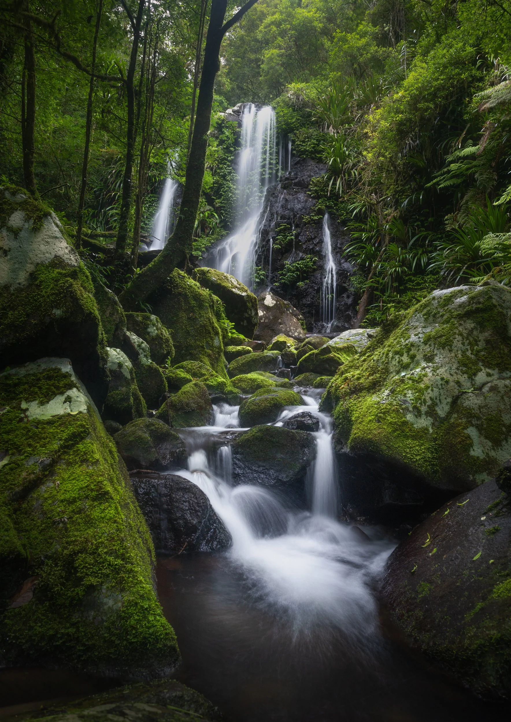 IMG_8509-Edit.jpg