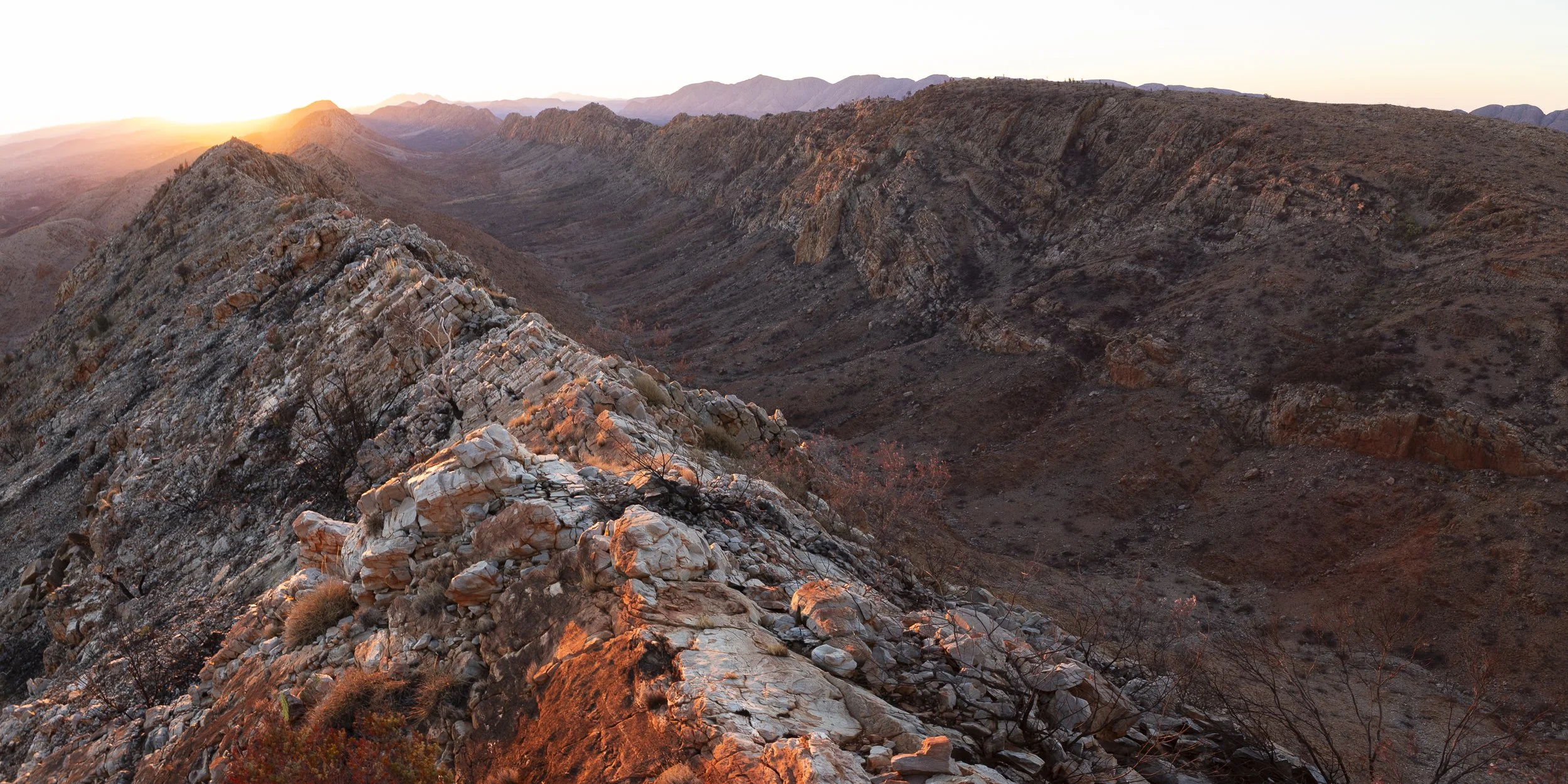 IMG_6169-Pano.jpg