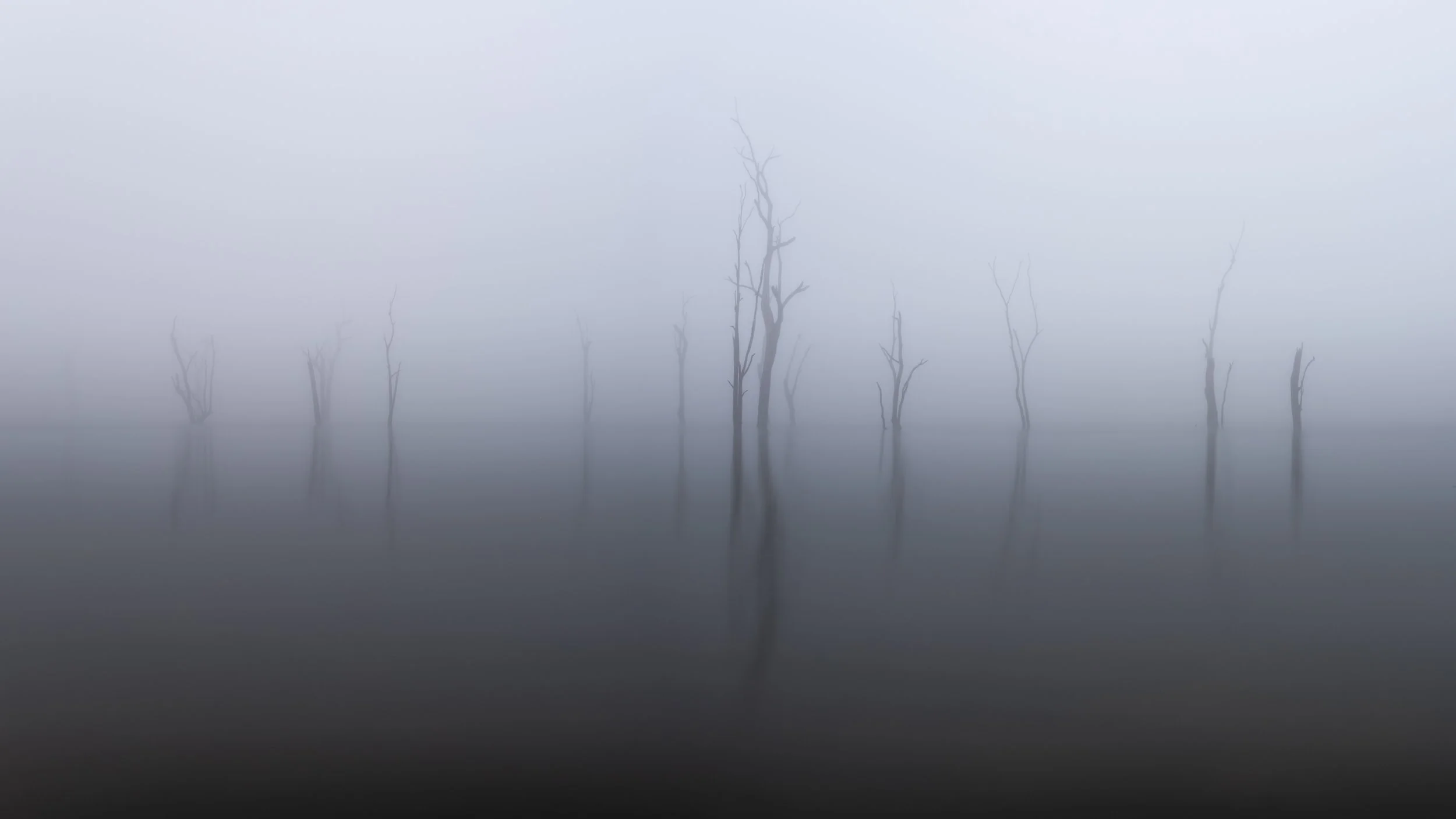 IMG_0173-Pano-2.jpg