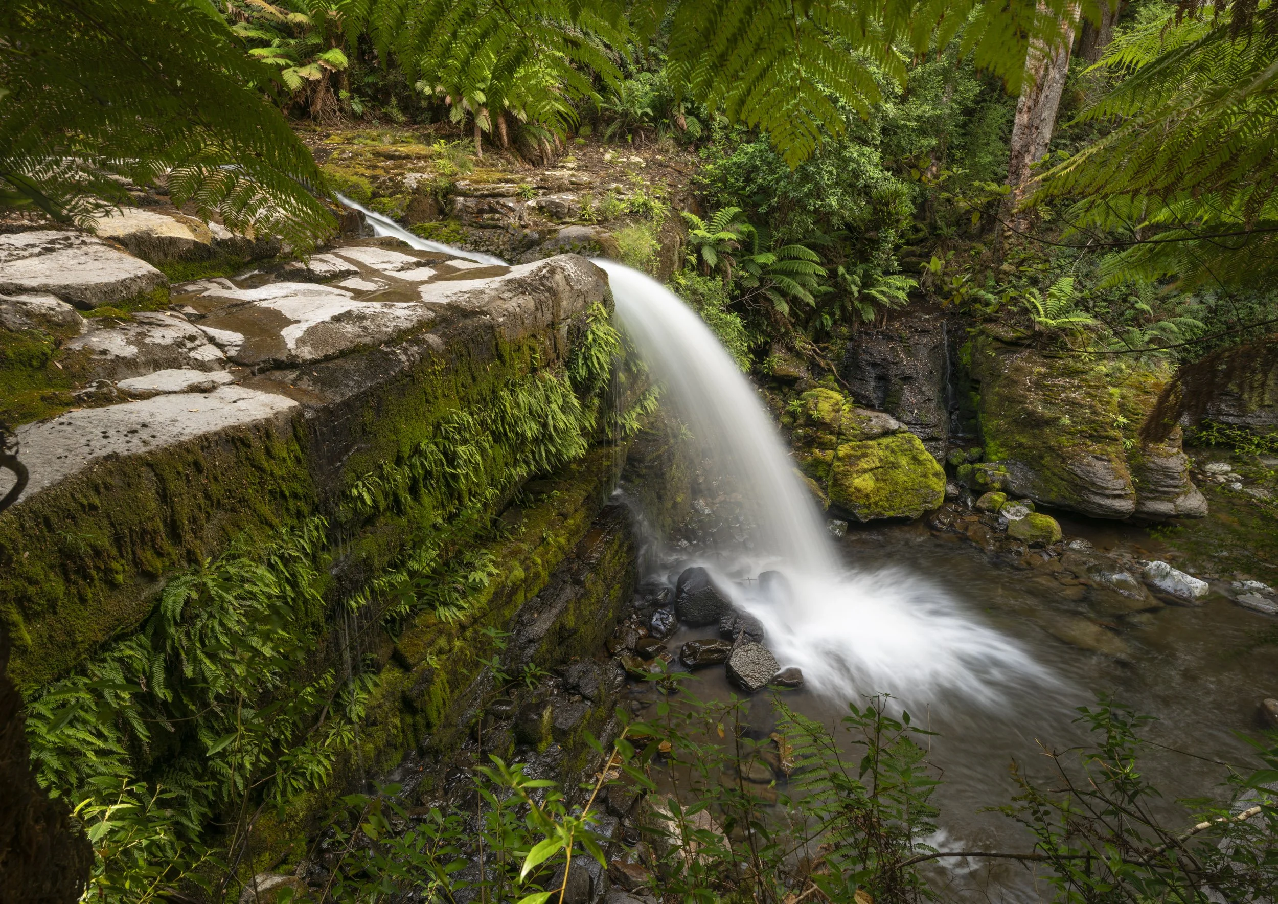 I'm a Little Teapot | Liffey Falls