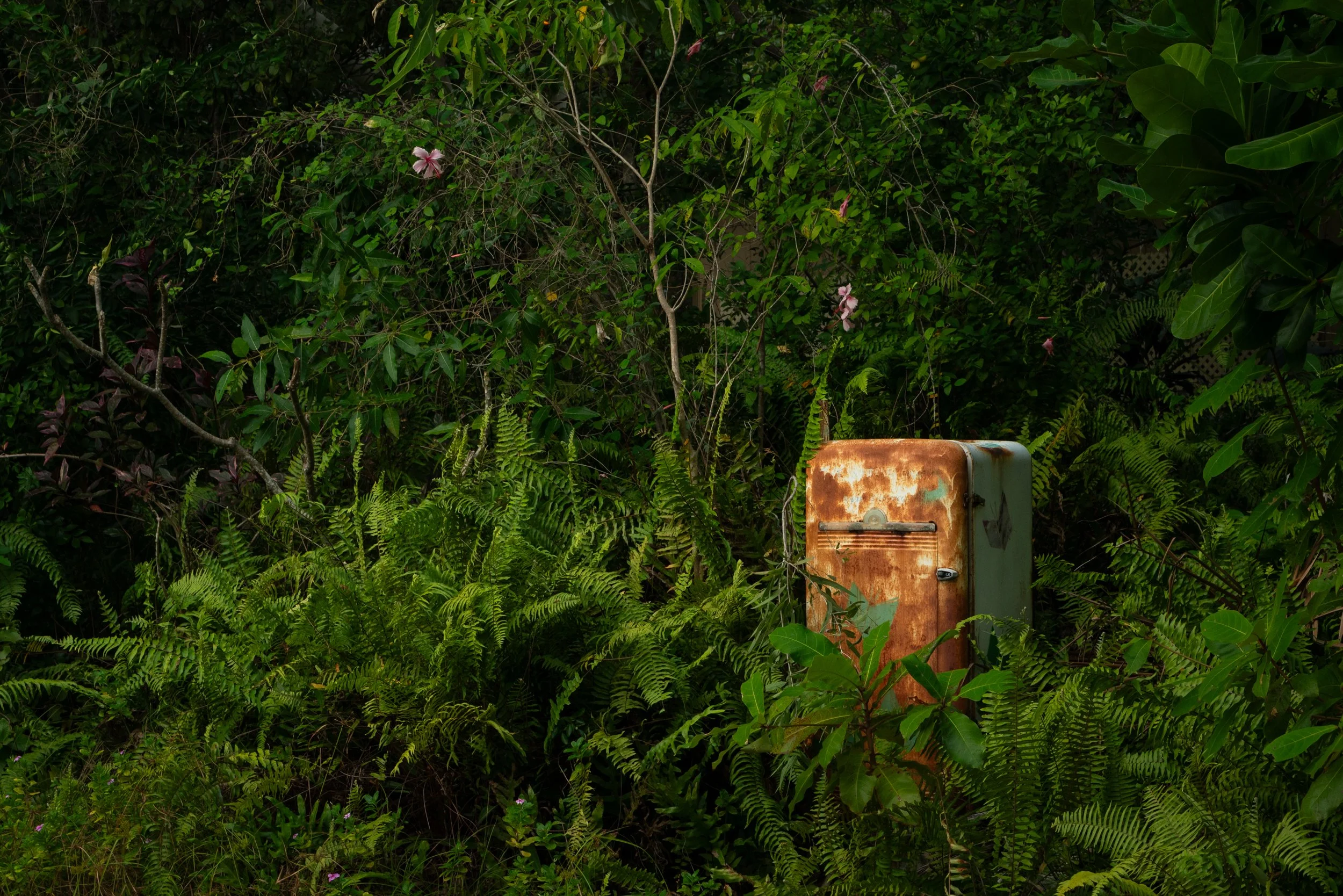 Magnetic Island Fridge