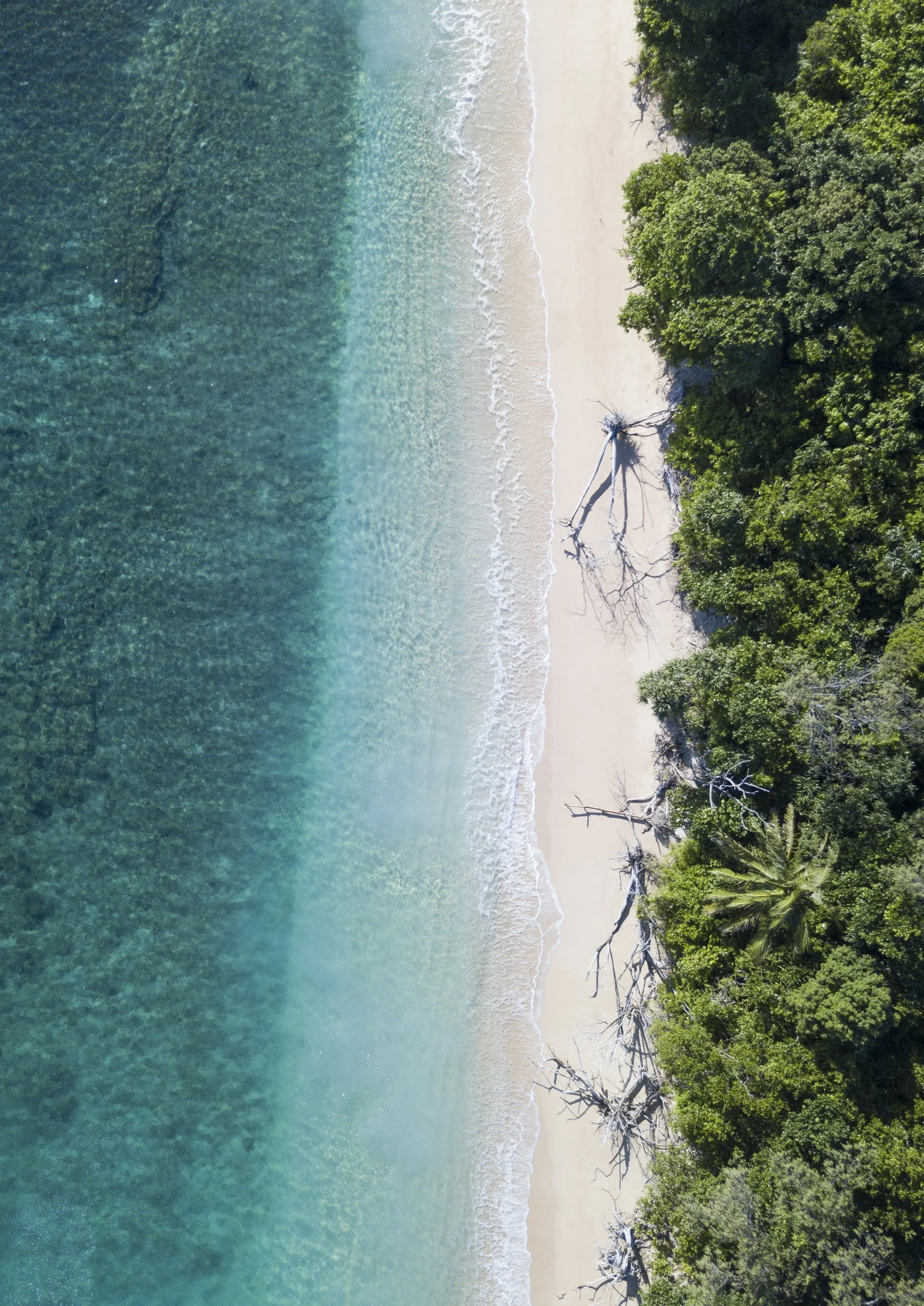 DJI_0099.jpg