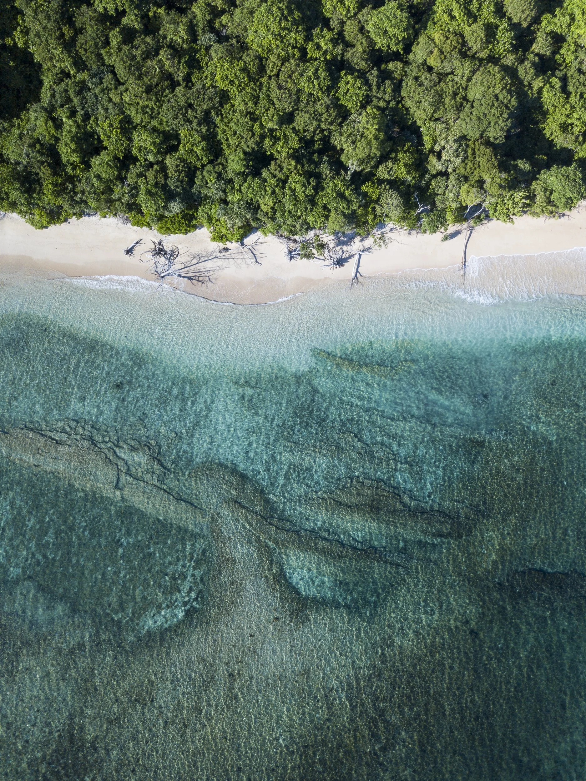 DJI_0100.jpg