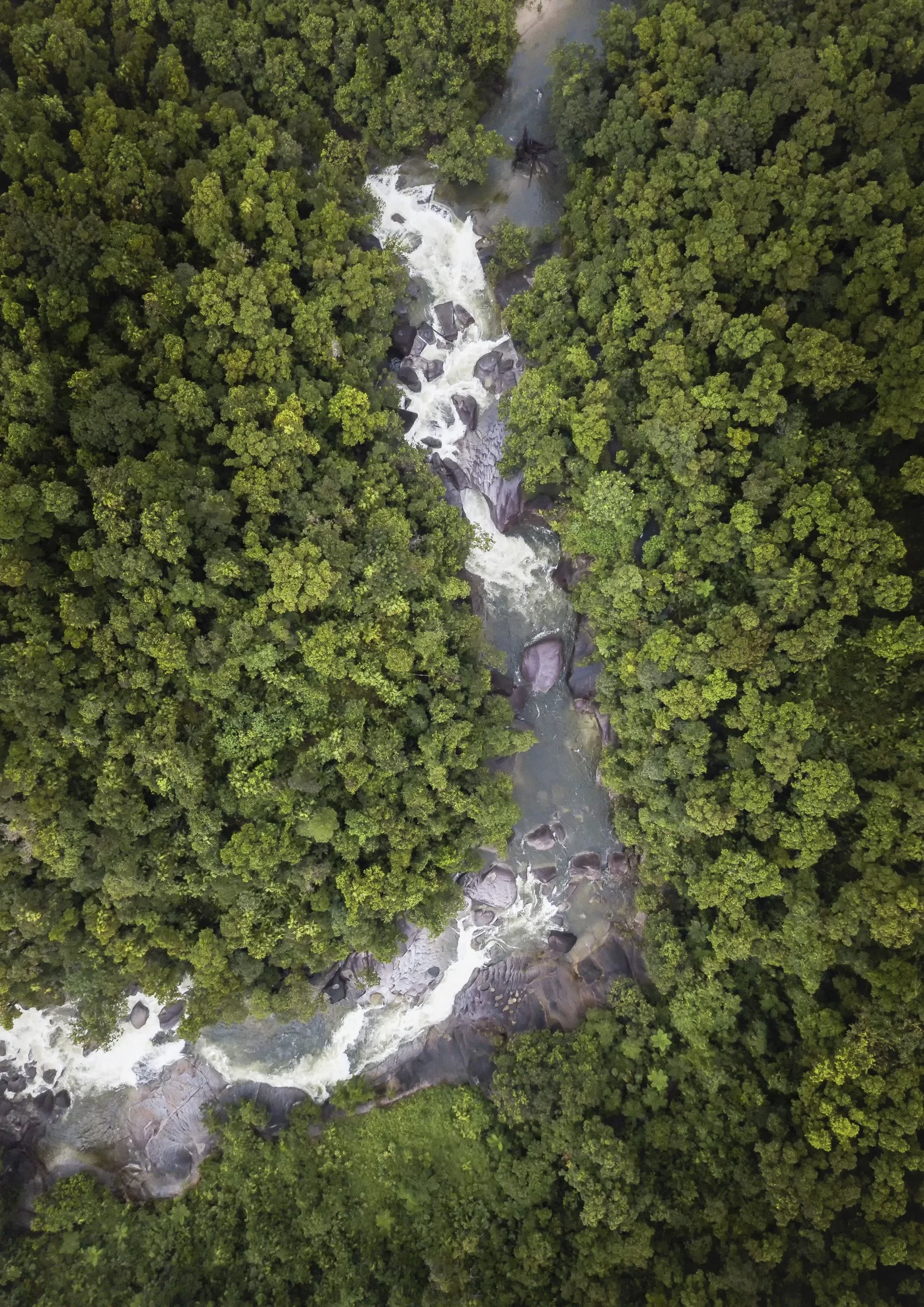 Monsoon Boulders | Babinda Boulders