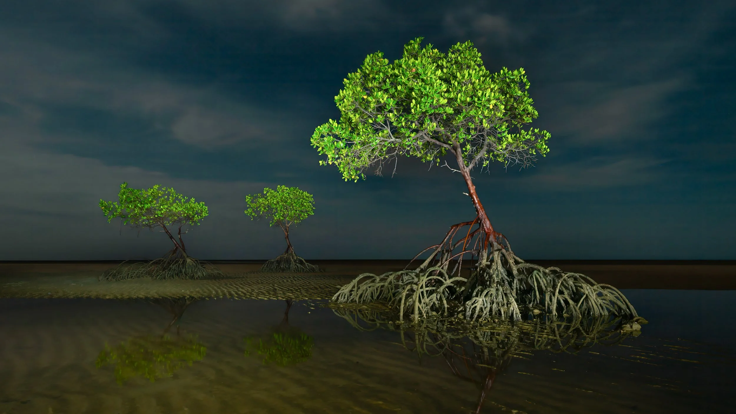 Yule Point Mangrove Light Painting Colour.jpg