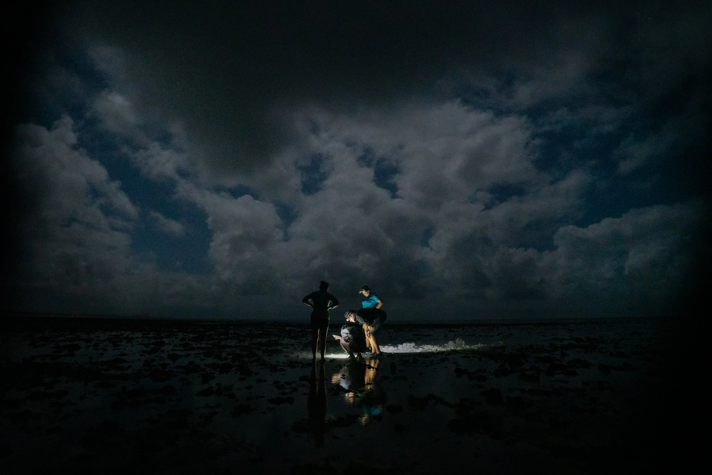 Yule Point Reef Night