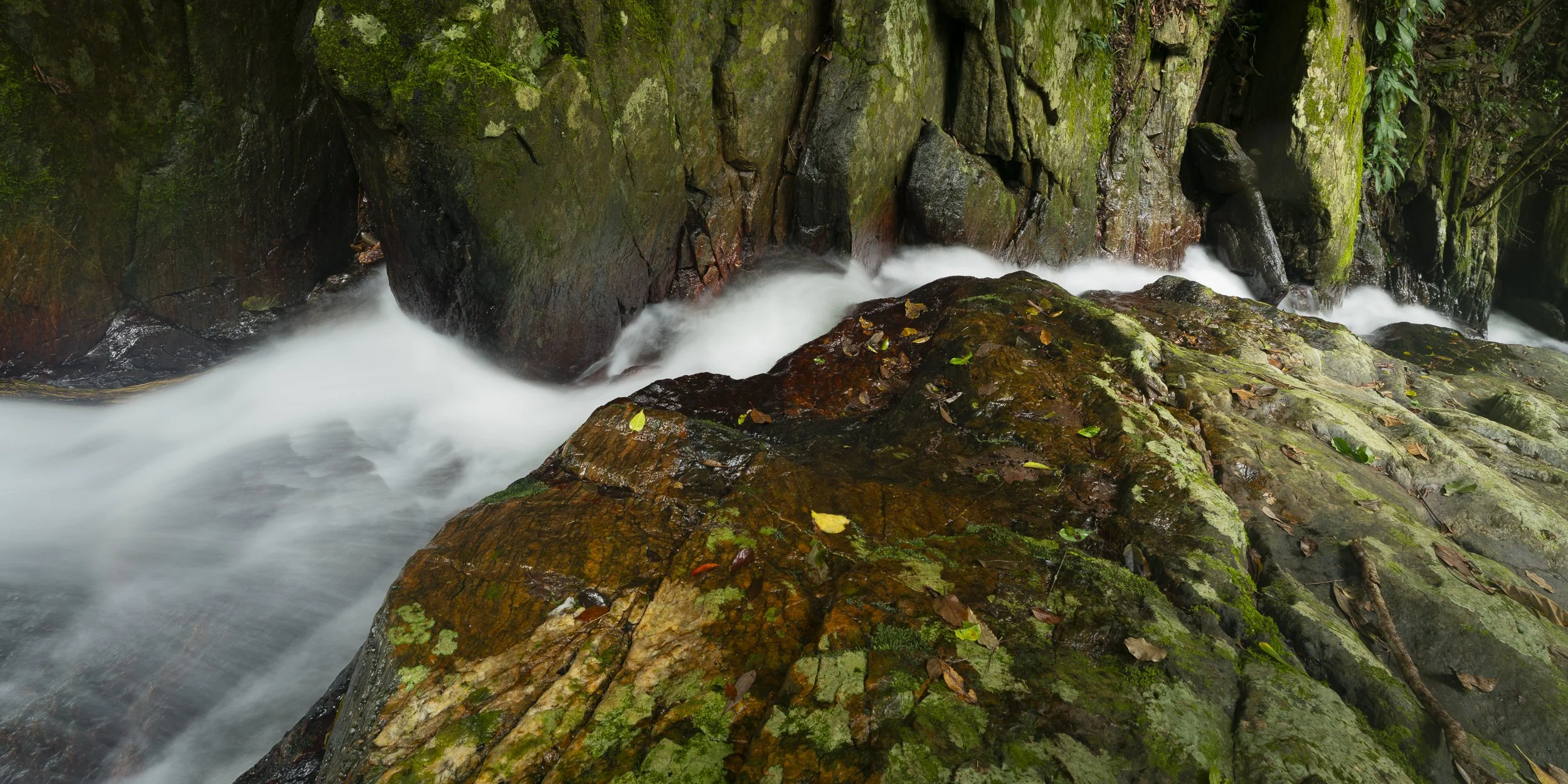 DSC09582.jpg