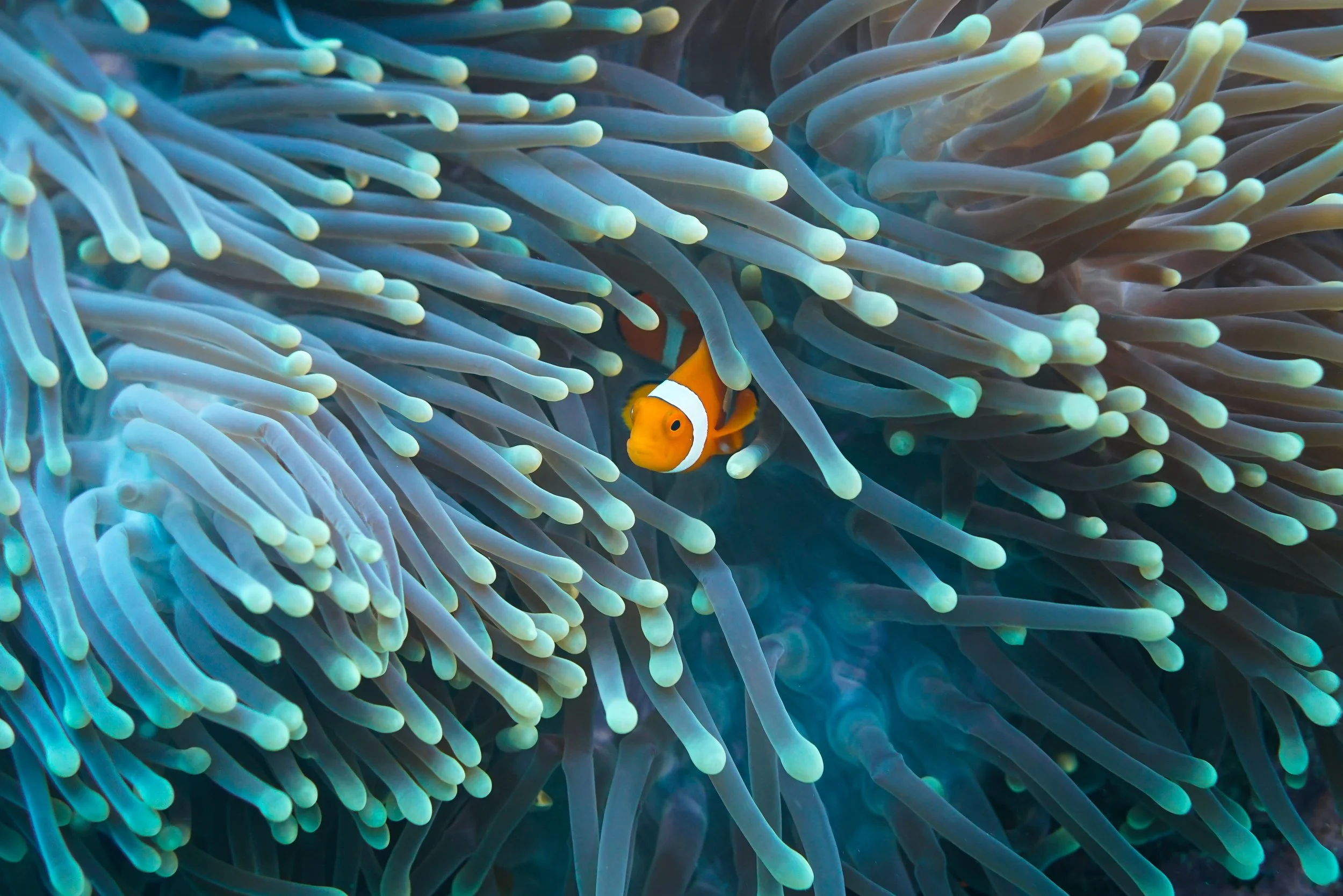 Underwater