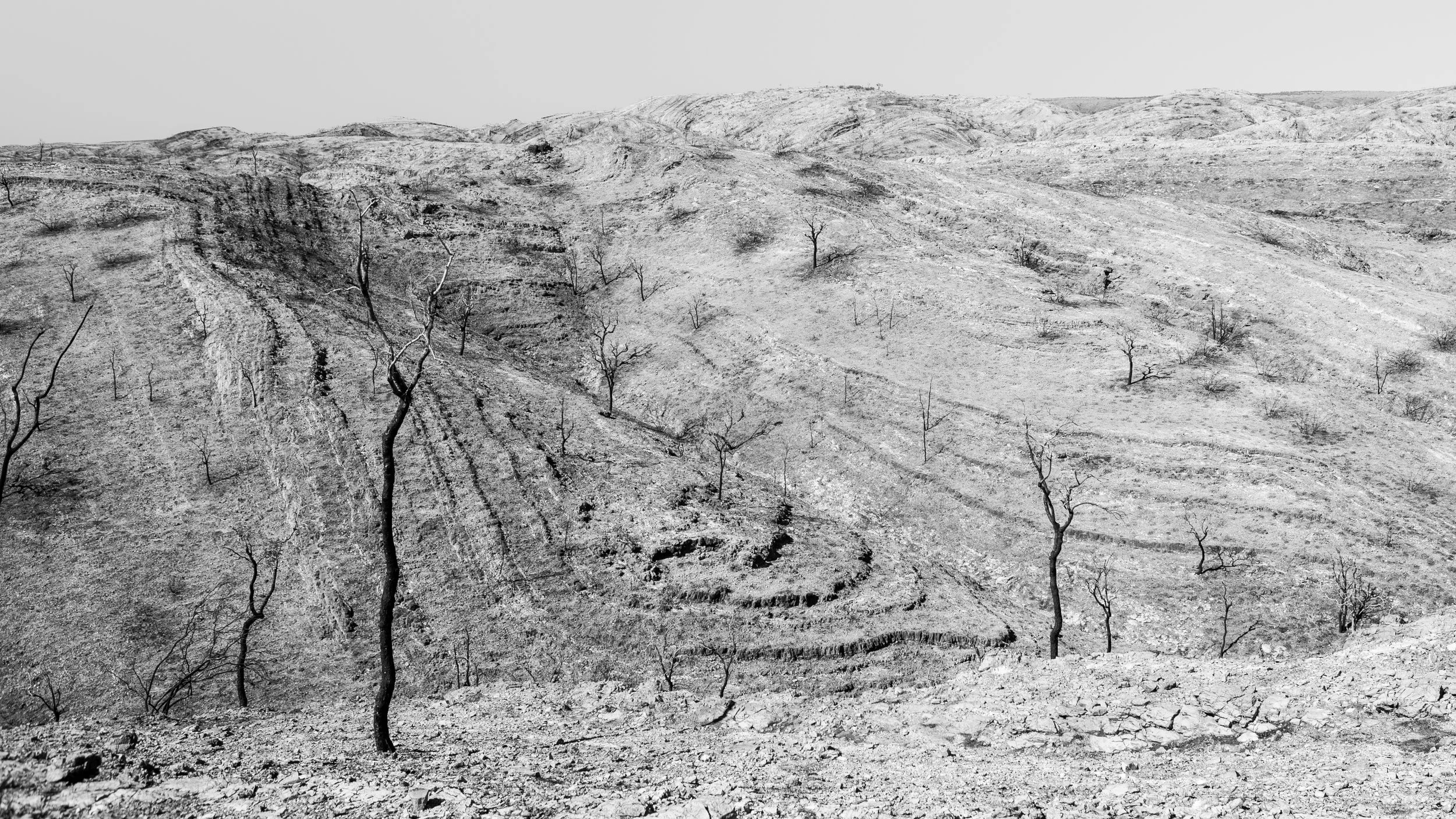 West McDonnell Ranges Burnt Landscape