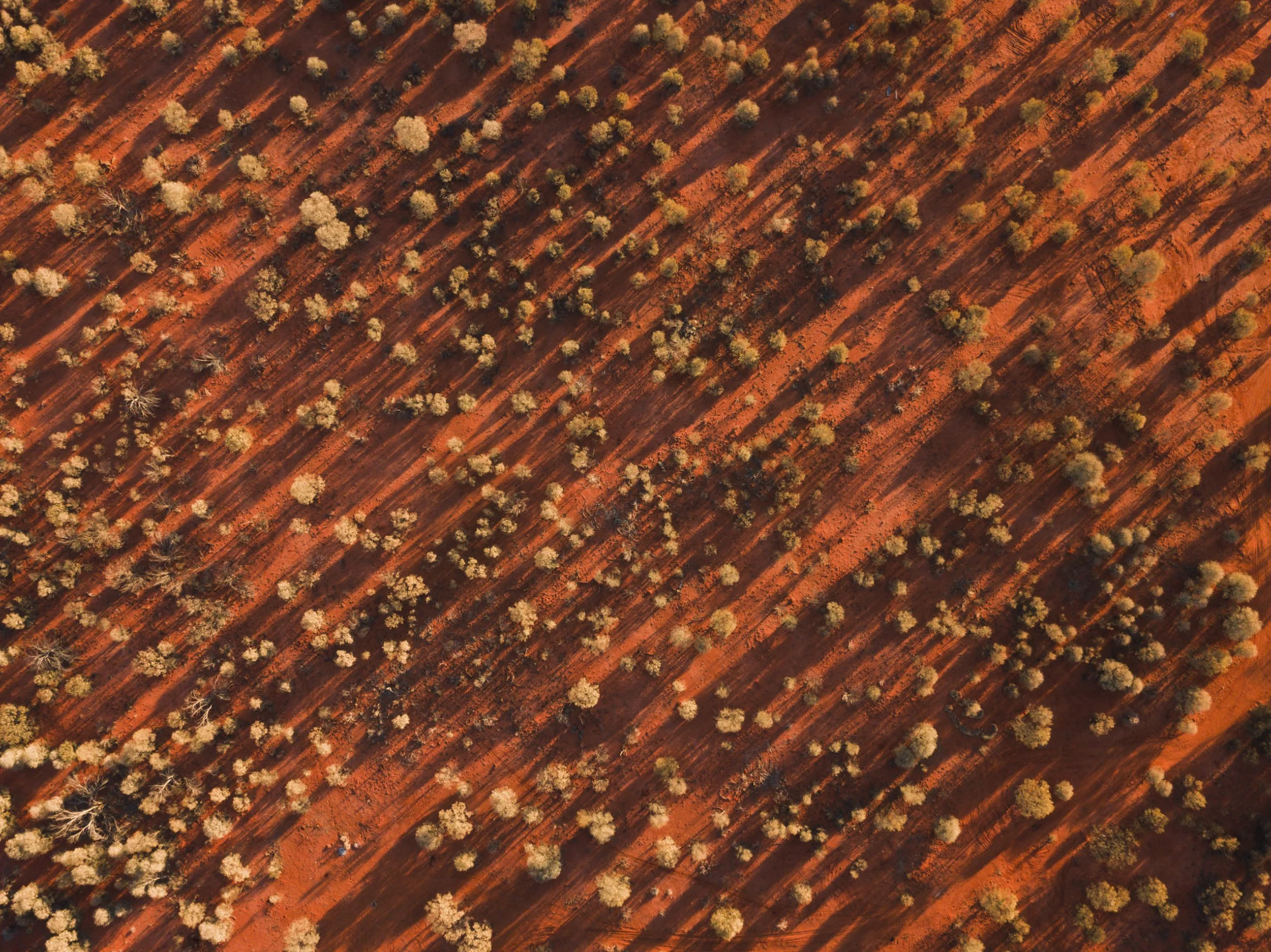 DJI_0169.jpg