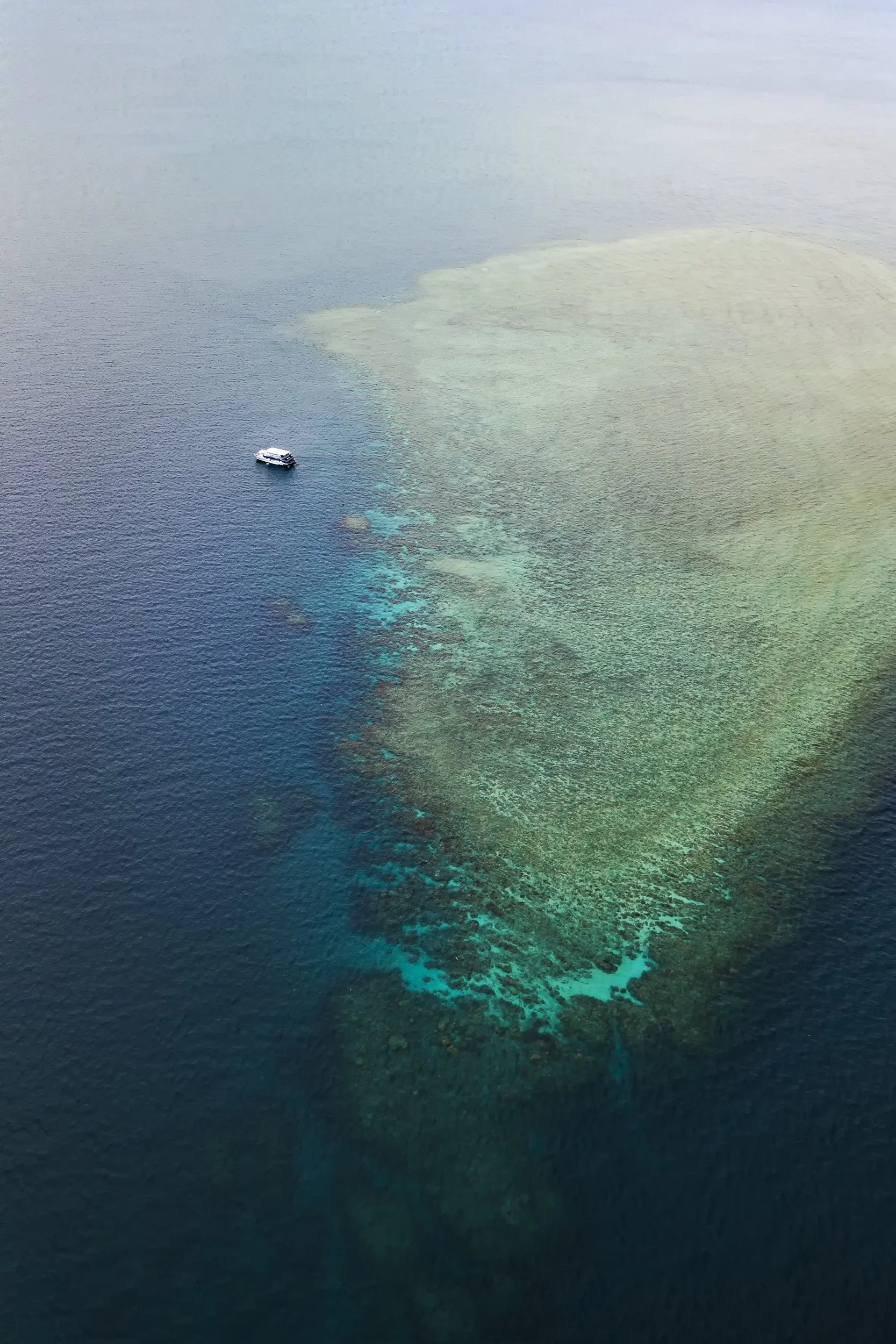 DJI_0095.jpg