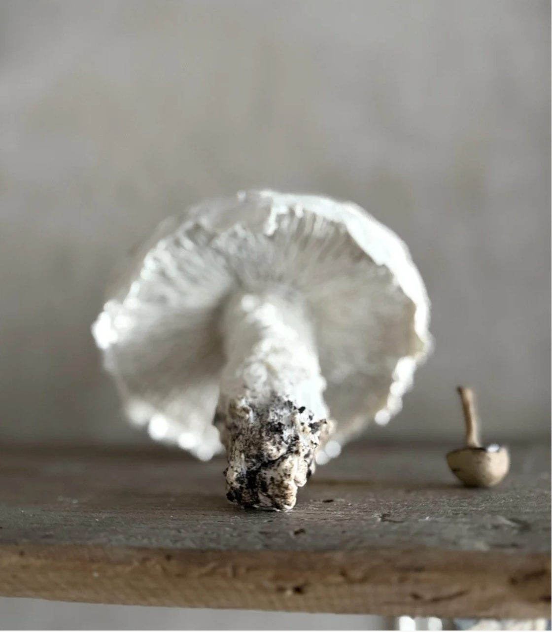 Screenshot 2026-02-23 at 16.47.16.png