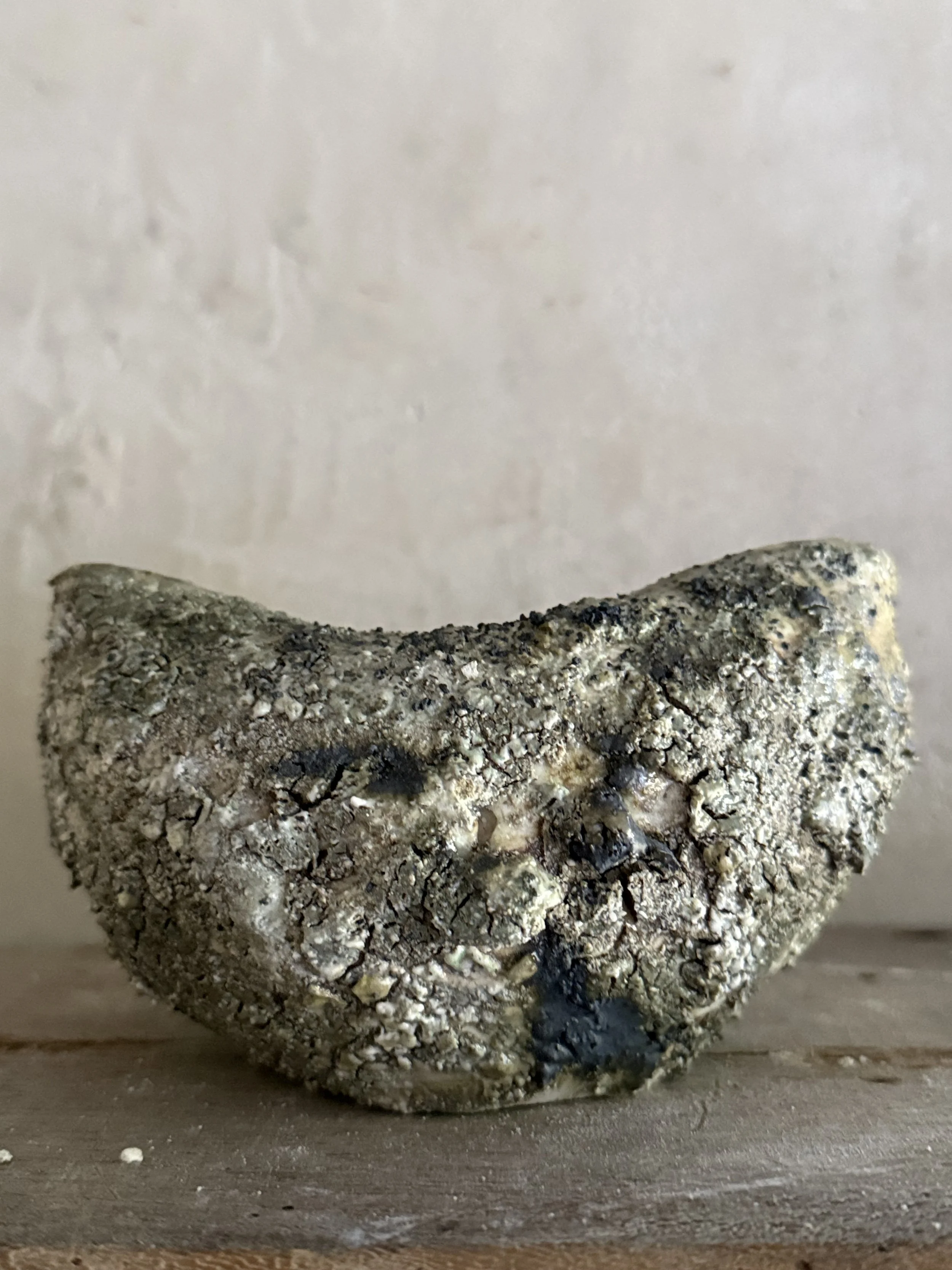 Mossy Porcelain Vase