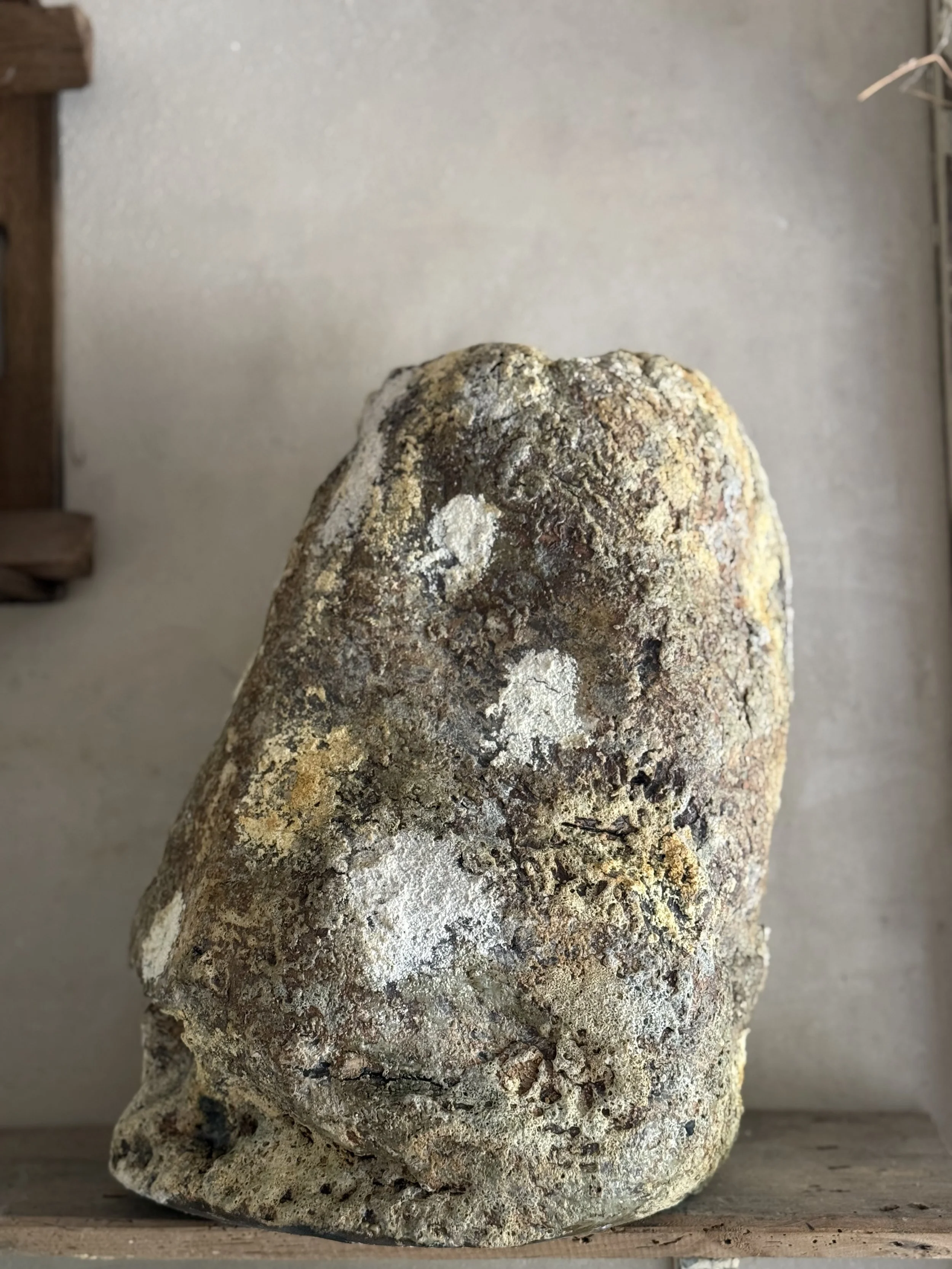 IMG_5961.jpeg