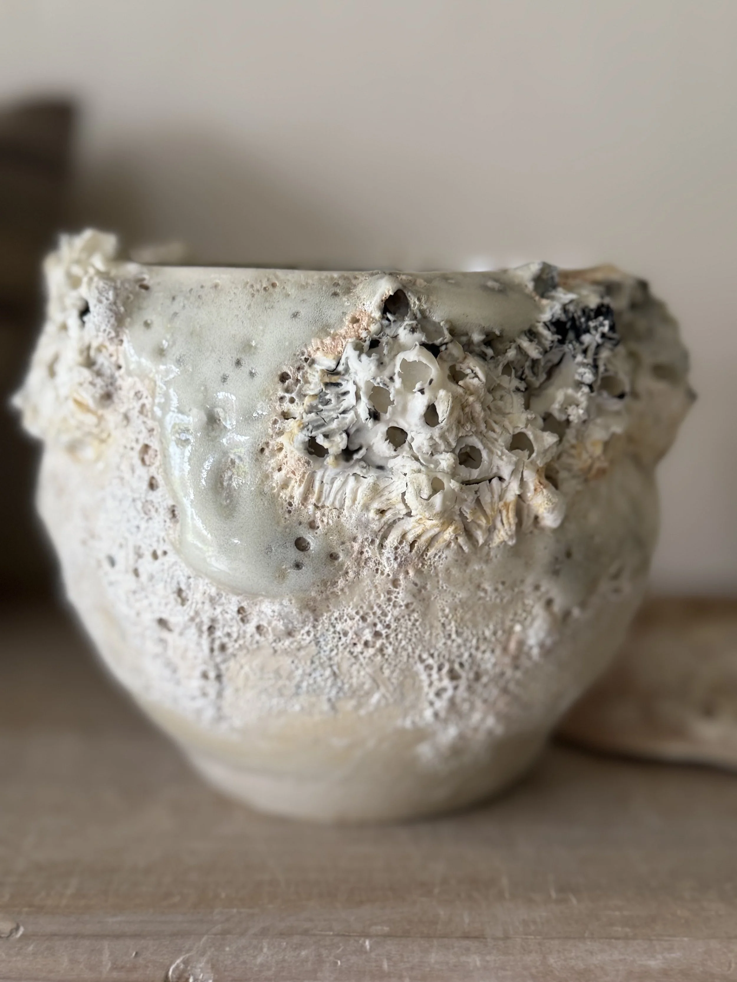 Barnacle Encrusted Bowl