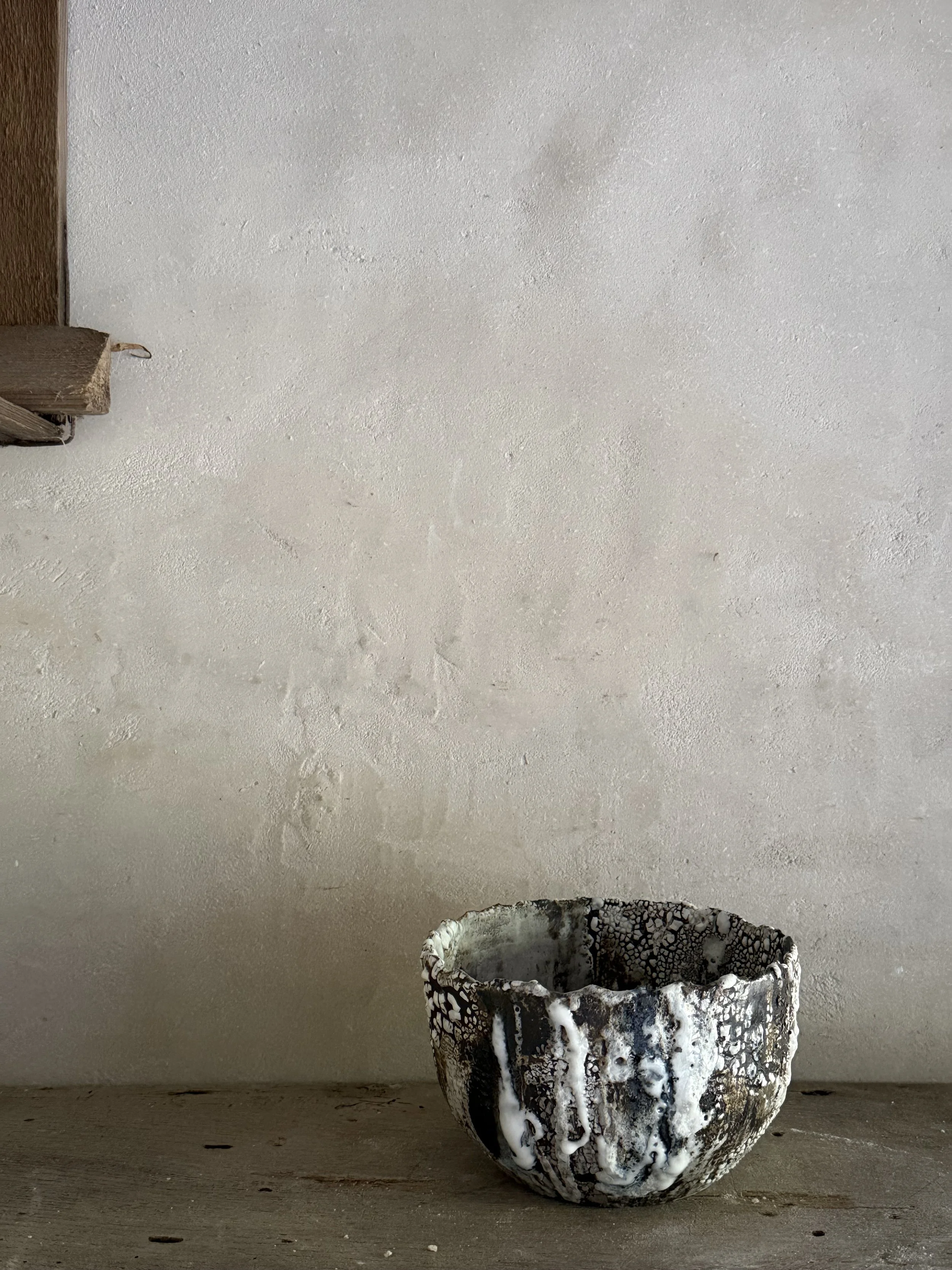 IMG_6077.jpeg