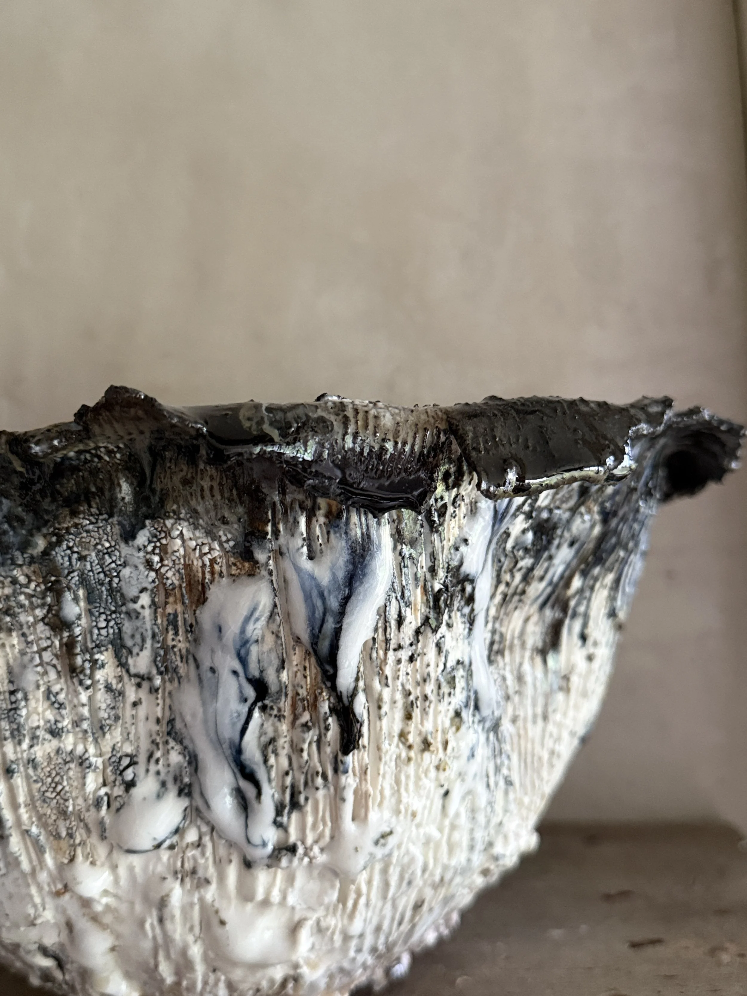 Fungi Shaggy Inkcap Bowl