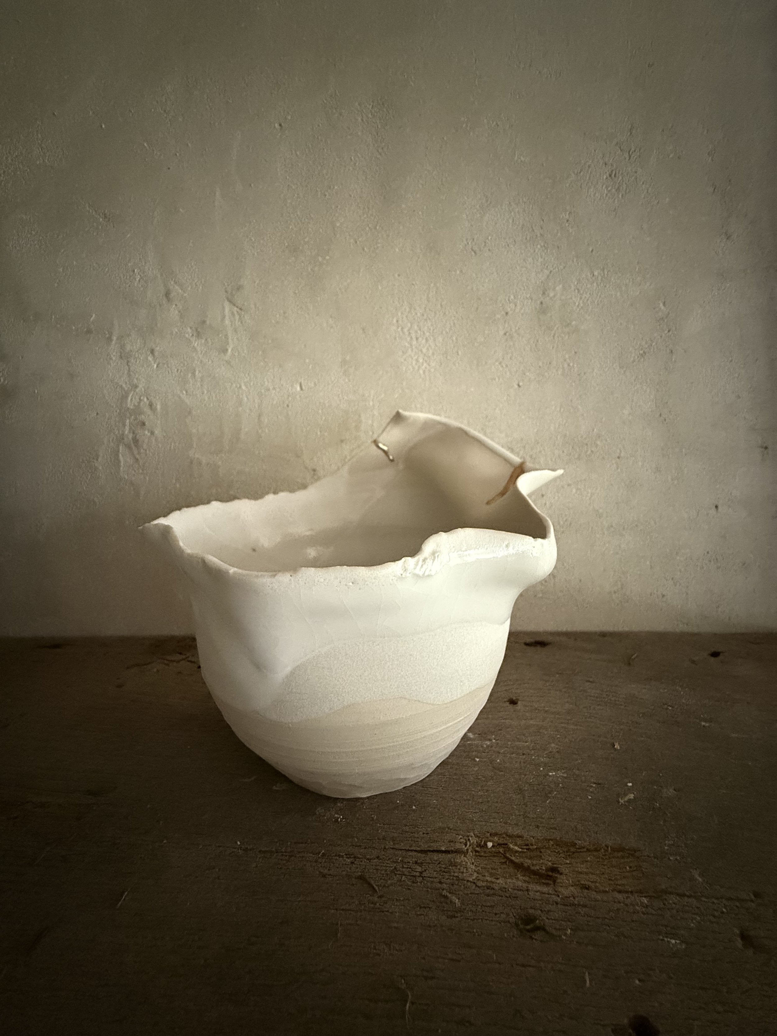 Adversity bowl with Kintsugi