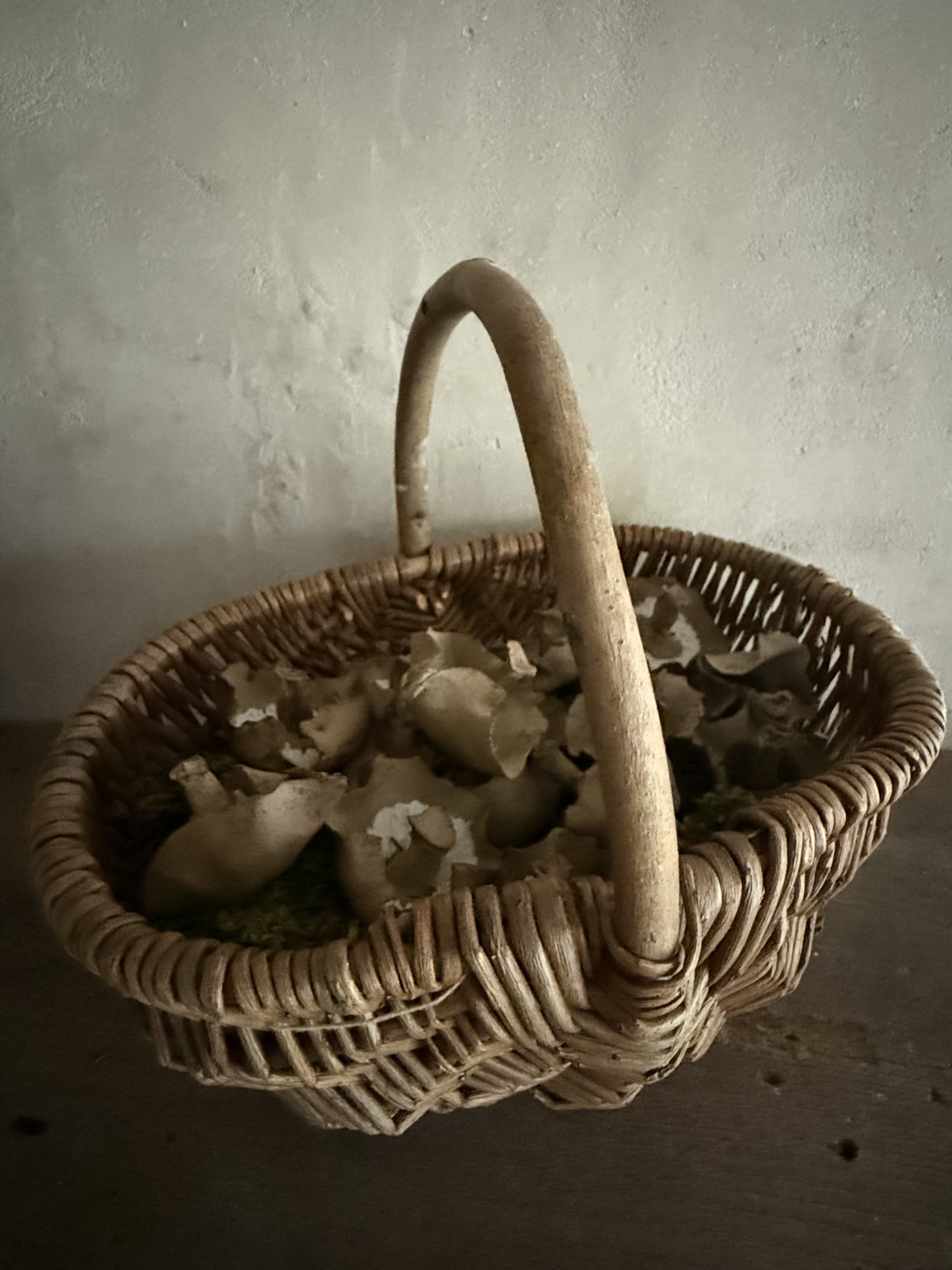 image00150.jpeg