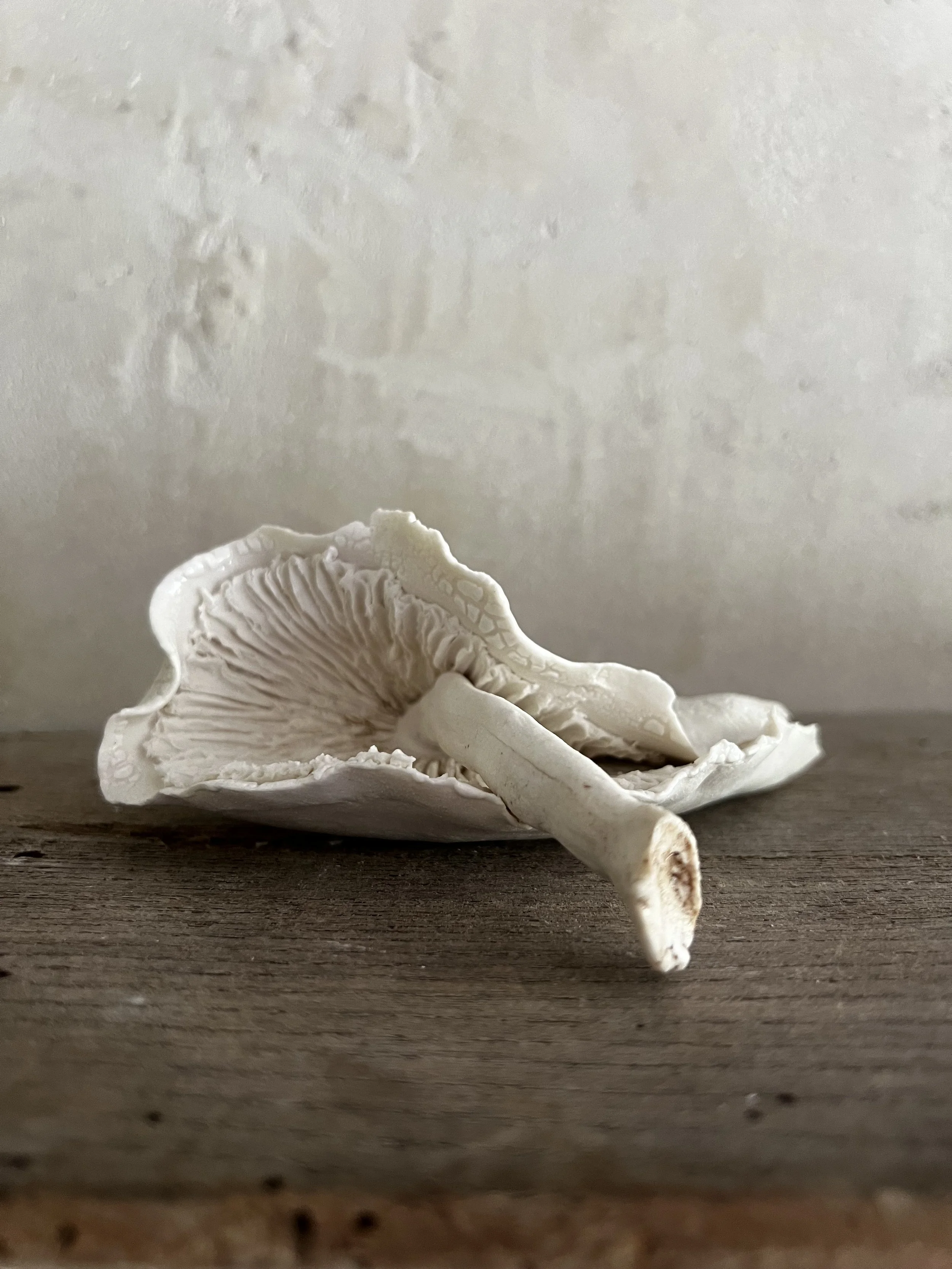 White folded mushroom