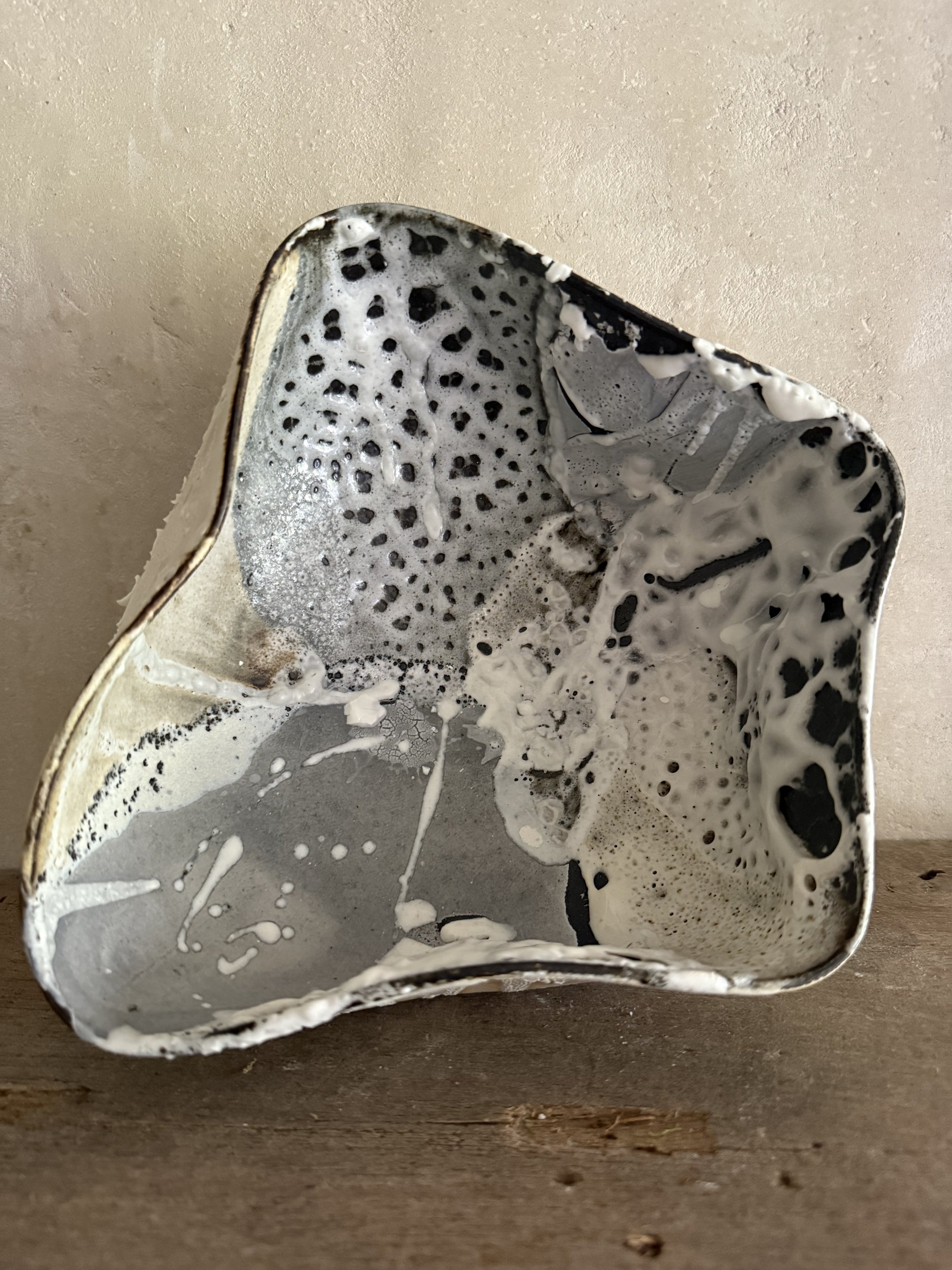 Thrown Wild Fungi Bowl
