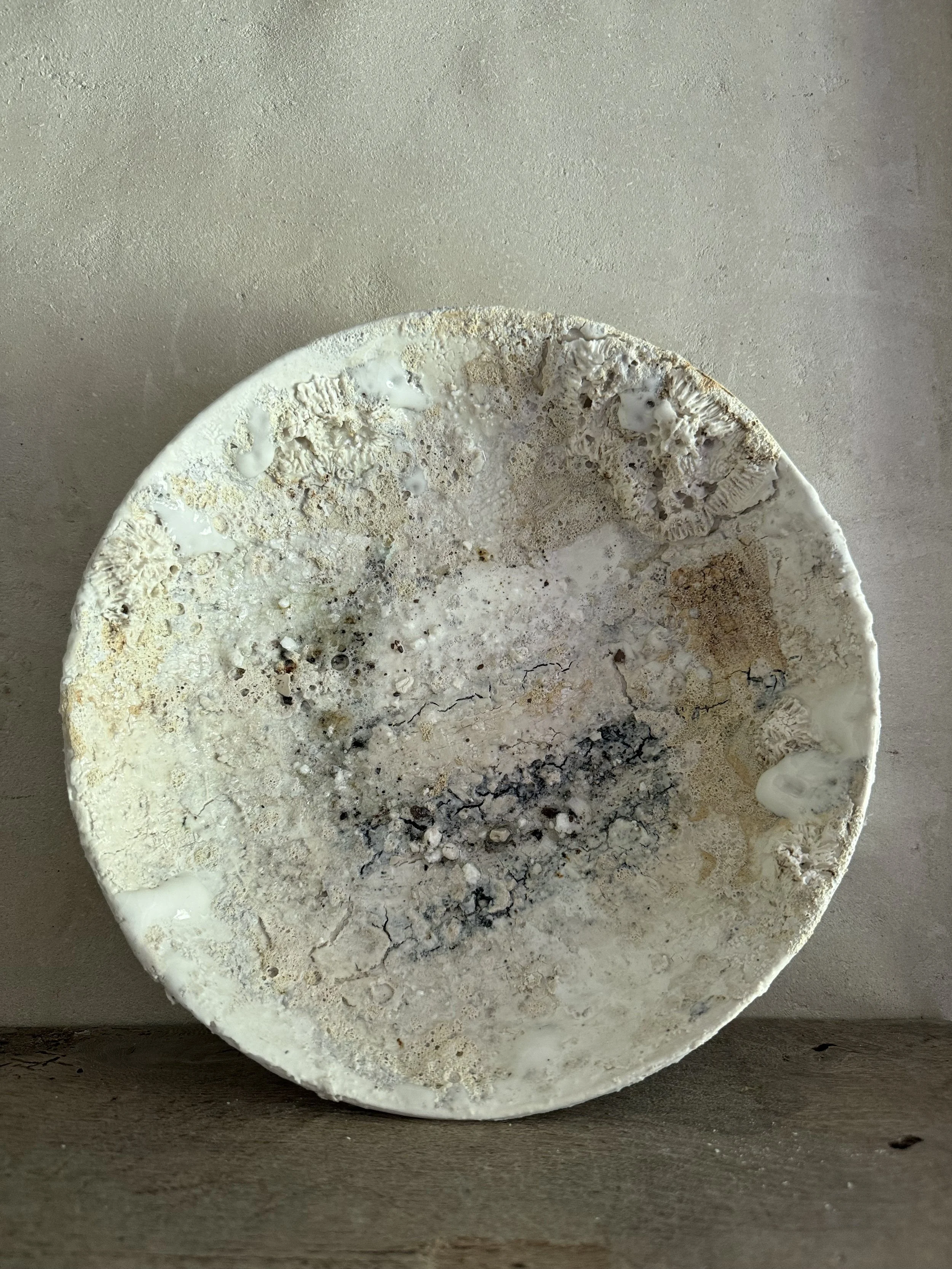 Low Tide Shallow Bowl