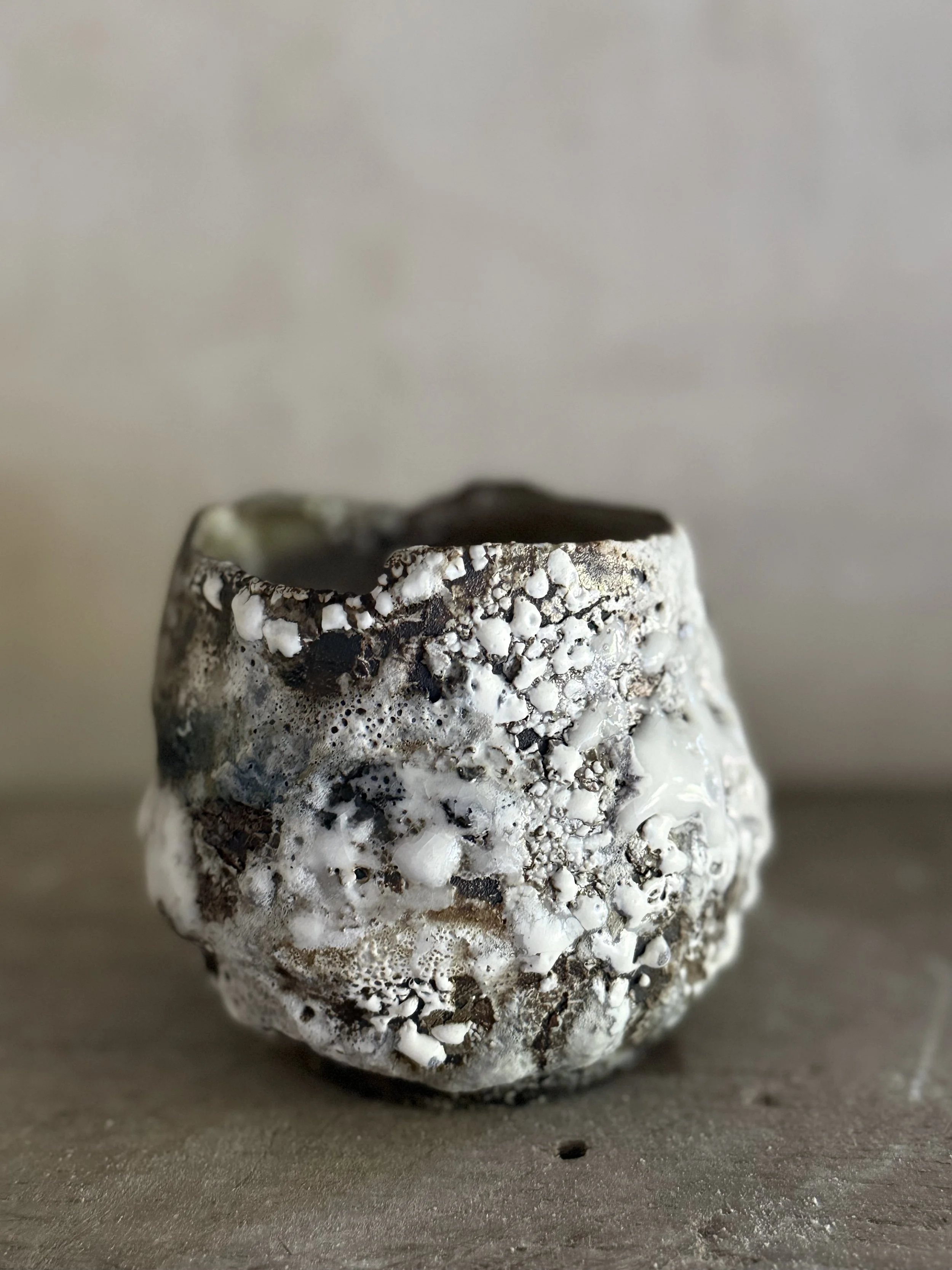 Mycelium Vase Vl