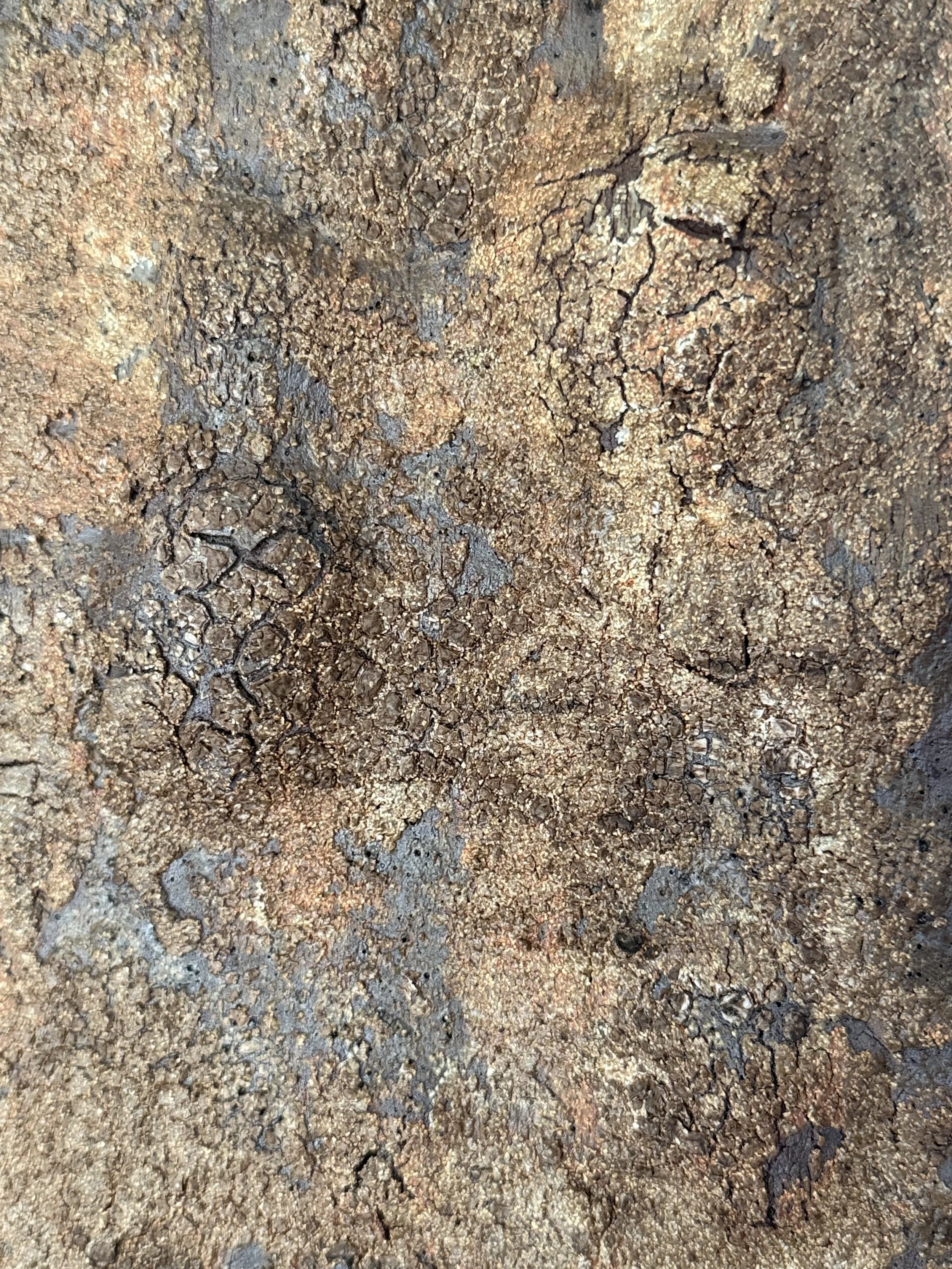 IMG_6004.jpeg