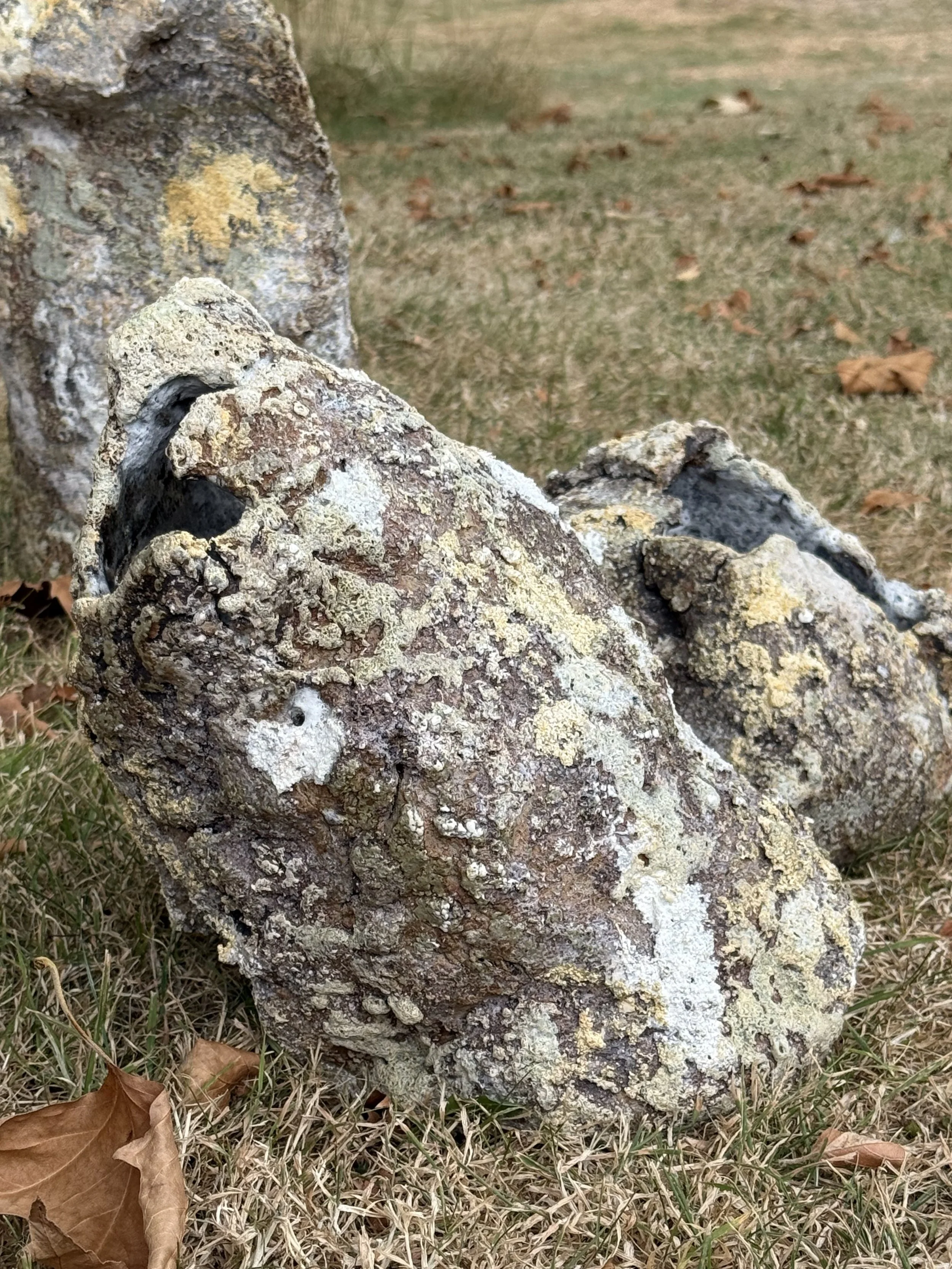 IMG_5997.jpeg