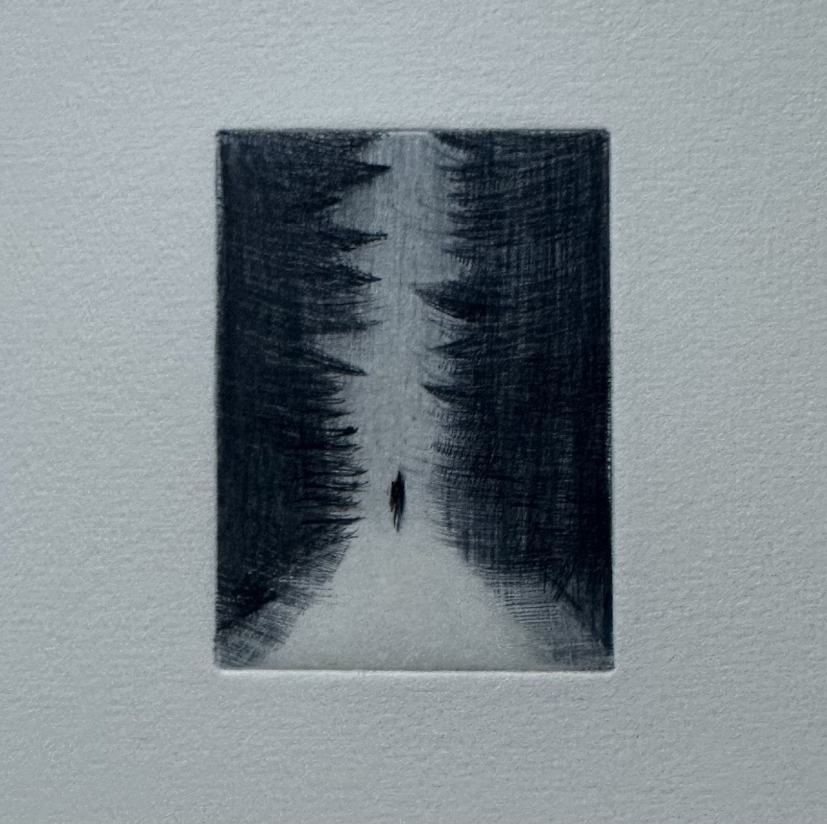 thesoundofpines.jpg