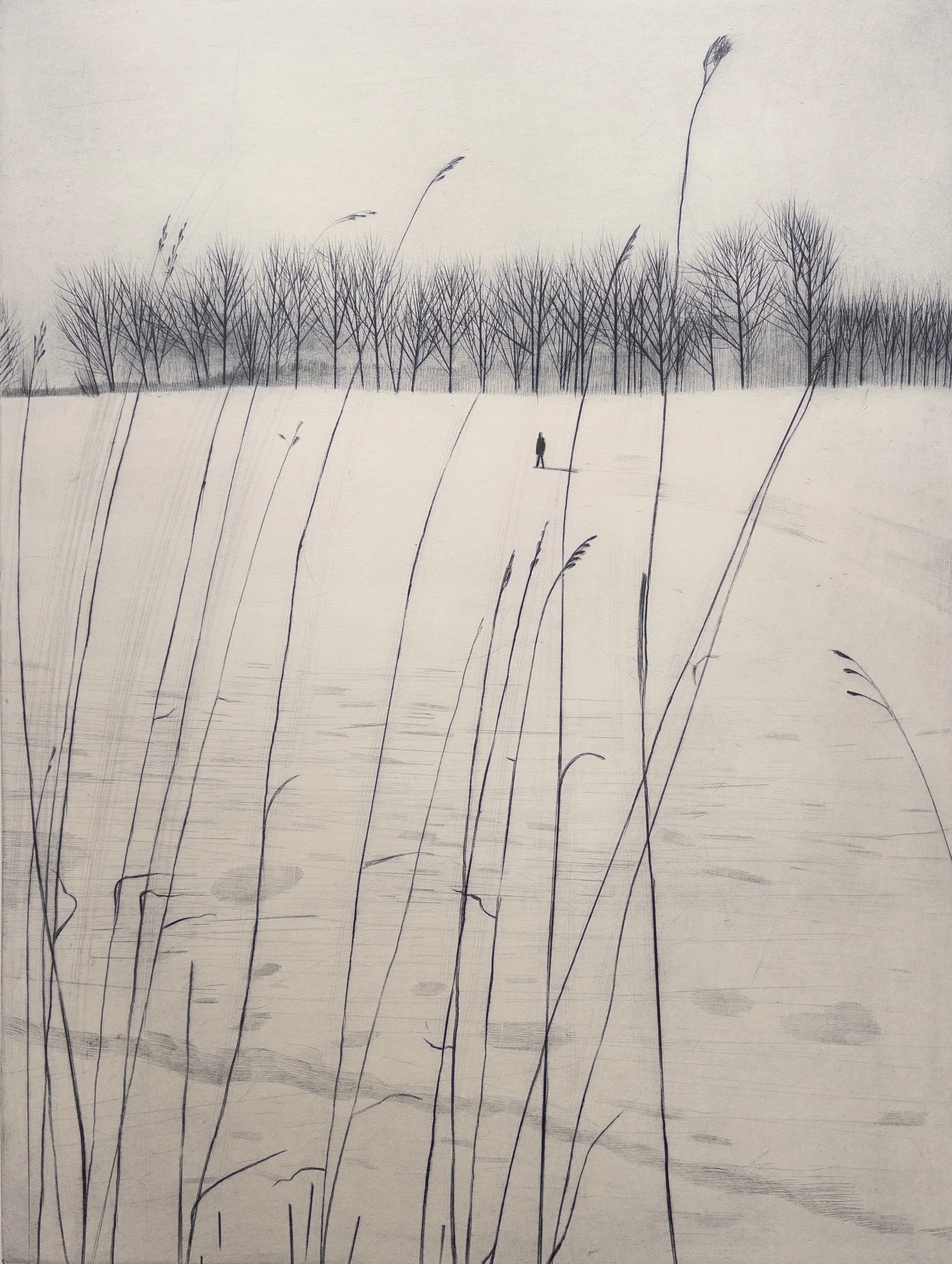 Wintergras (Detail).jpg