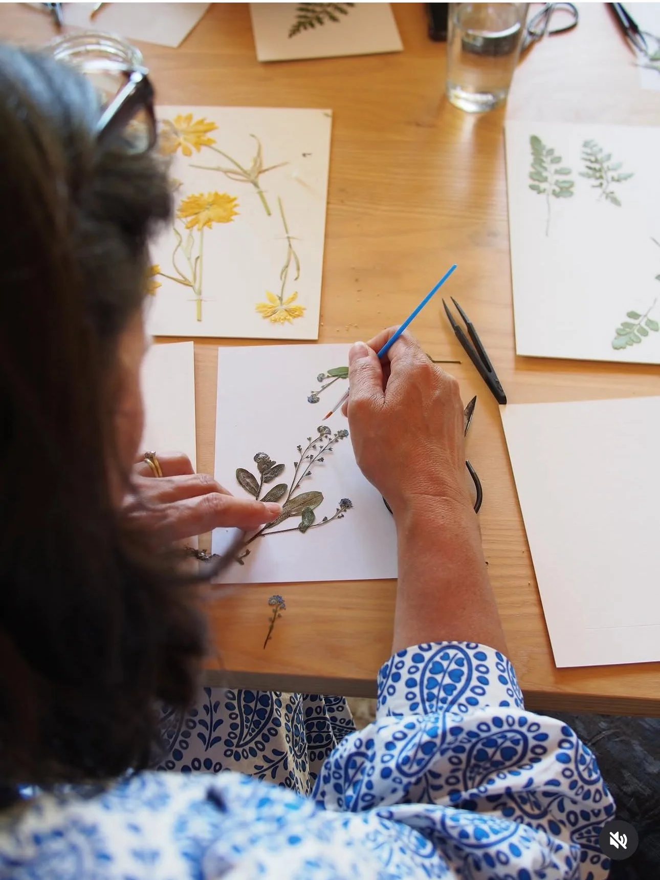 Pressing Flowers: A Botanical Keepsake