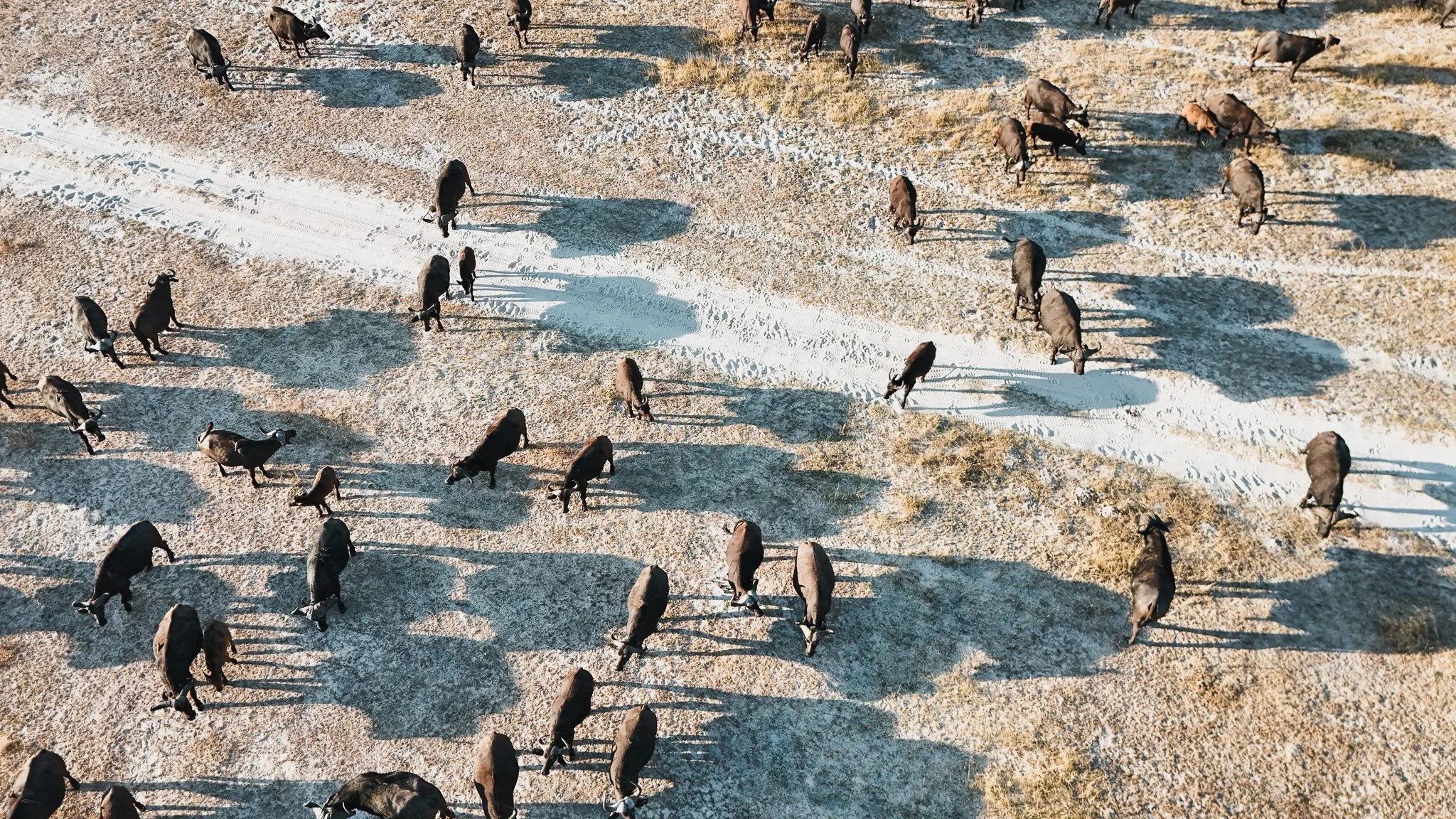 DJI_20250616180143_0713_D.jpg