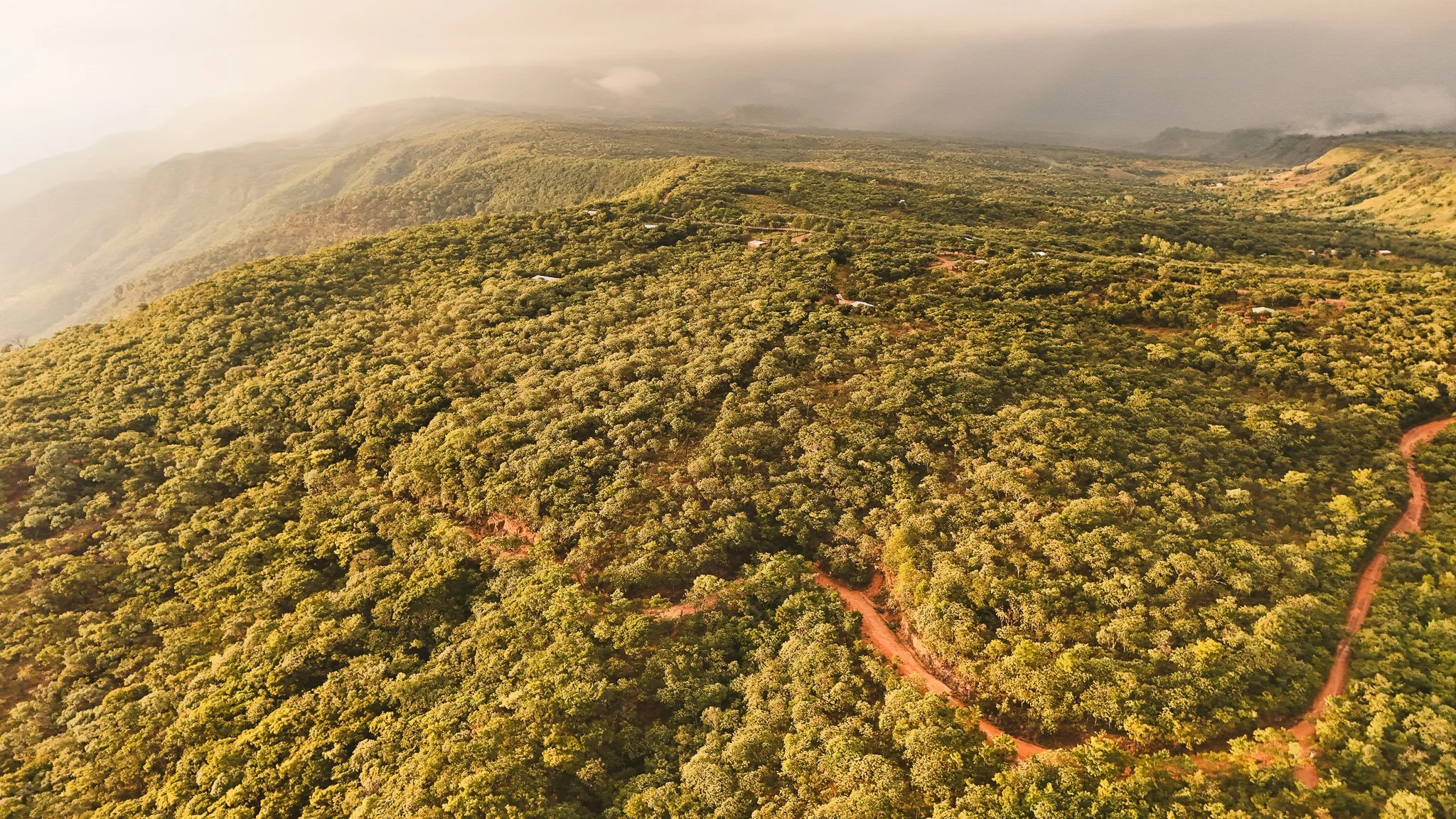 DJI_20250428071820_0400_D.jpg