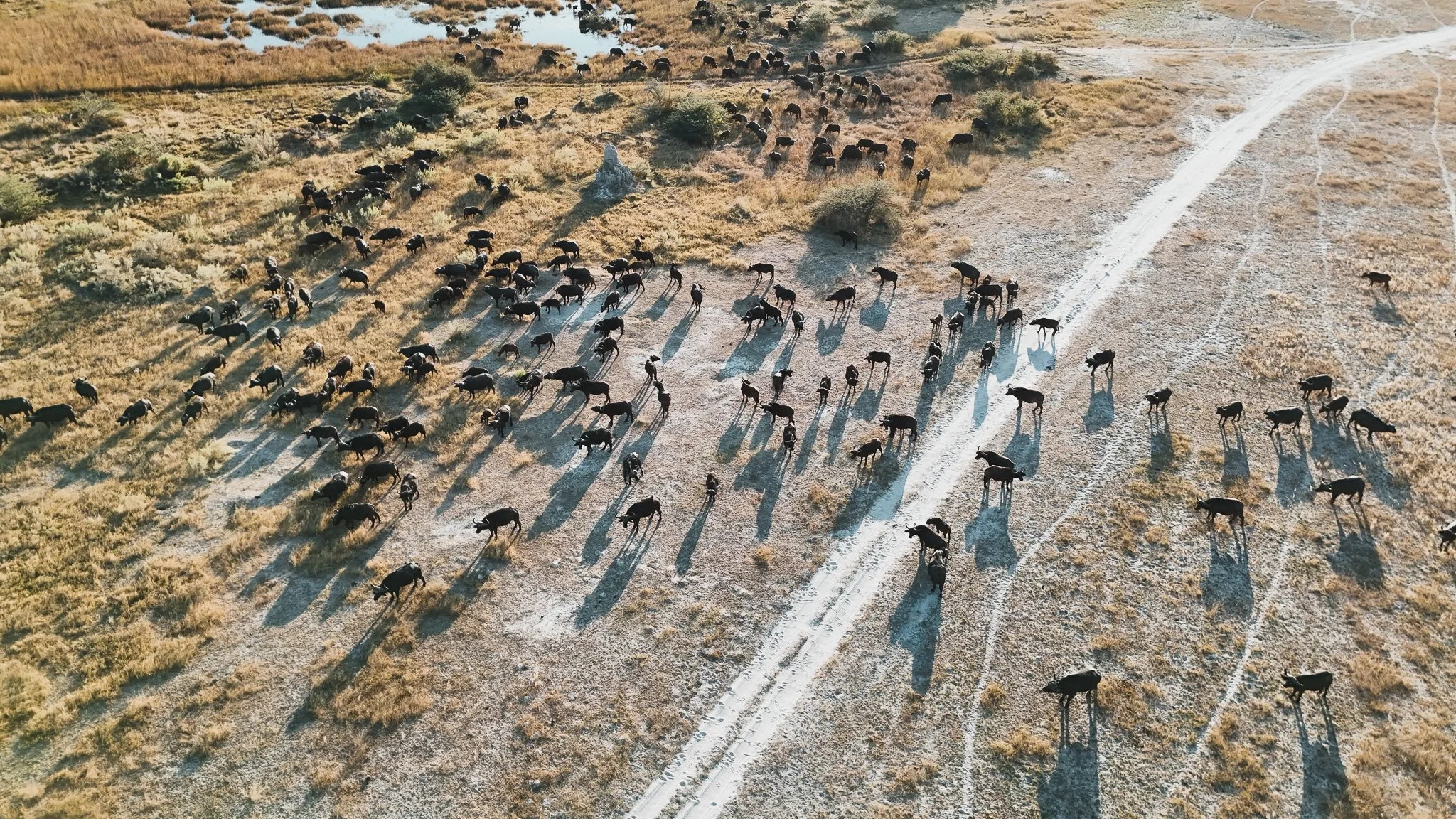 DJI_20250616180457_0724_D.jpg