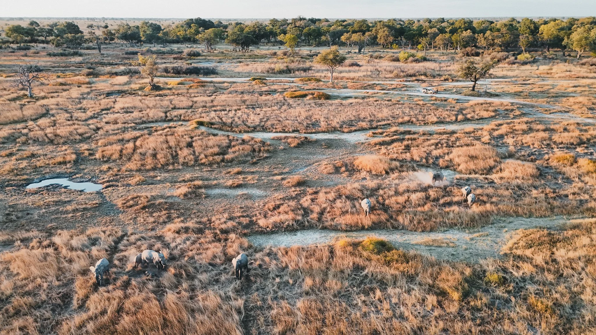 DJI_20250615184306_0692_D.jpg