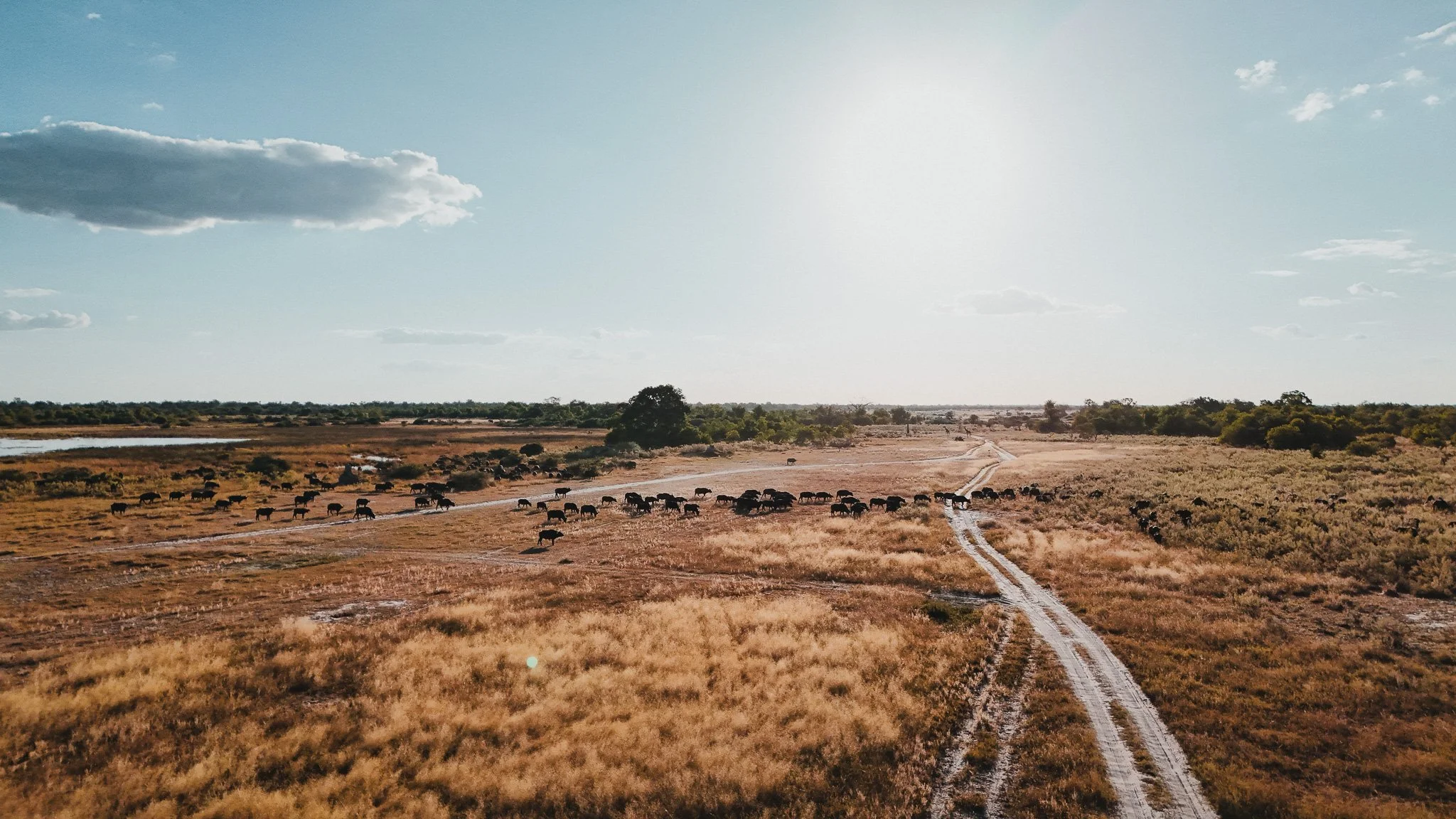 DJI_20250616175835_0705_D.jpg