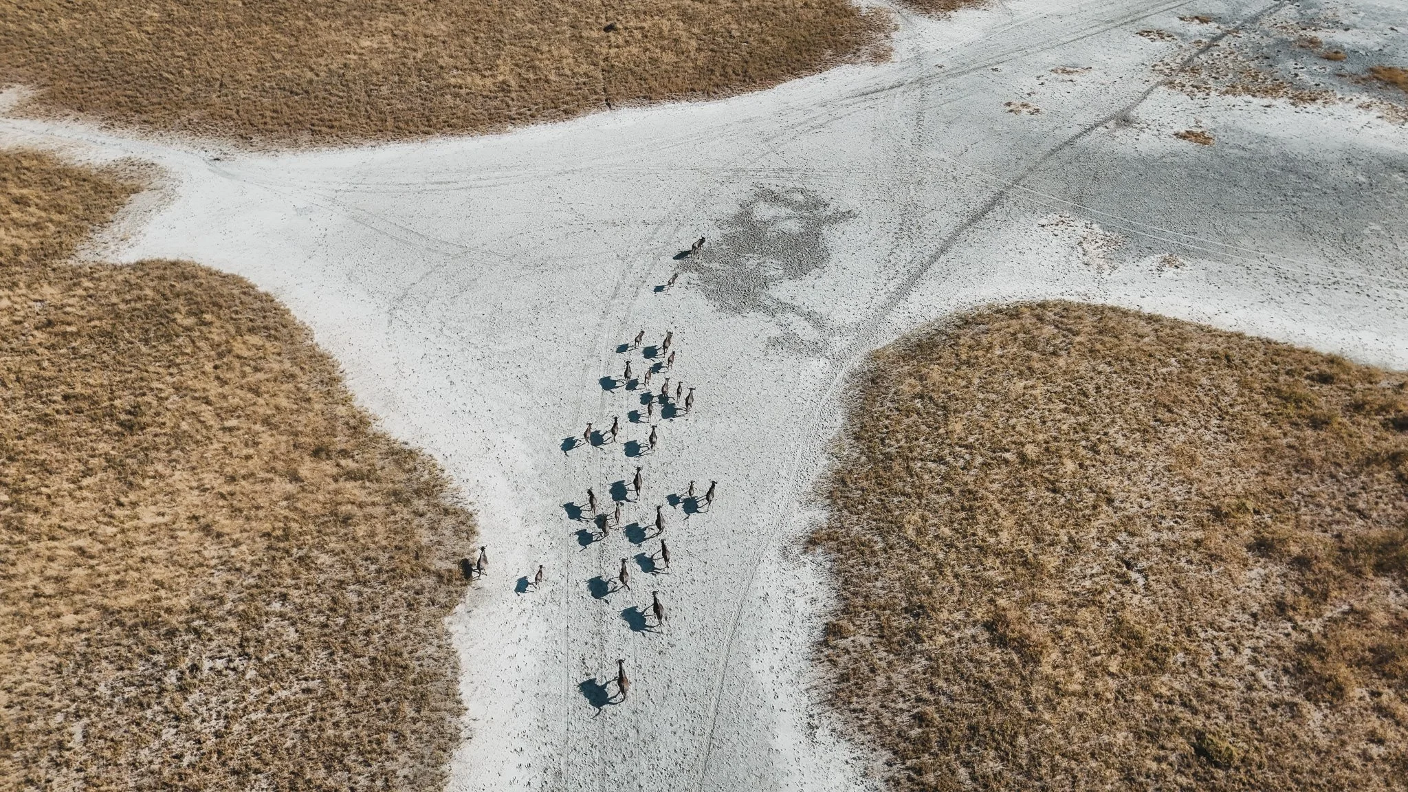 DJI_20250609155728_0057_D.jpg