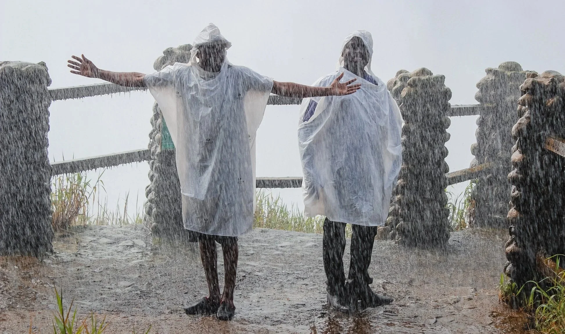 Zambia - Victoria Falls People & Animals