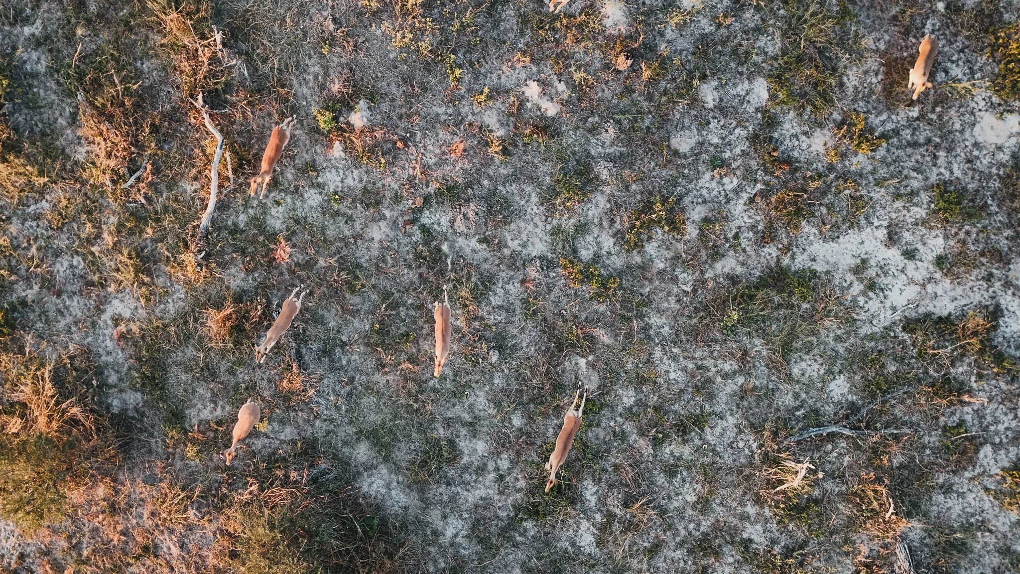 DJI_20250607081349_0529_D.jpg