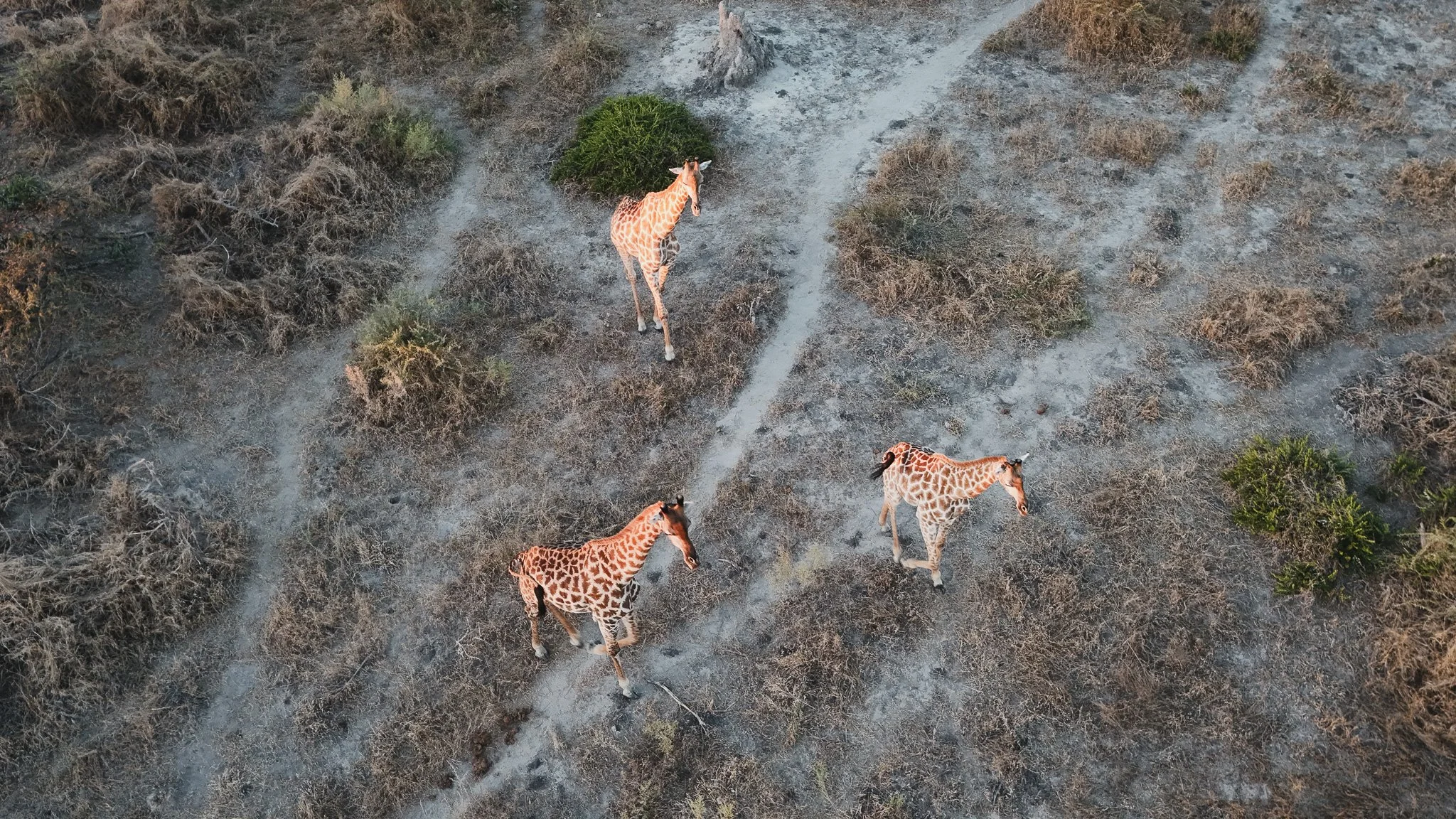 DJI_20250616185313_0779_D.jpg