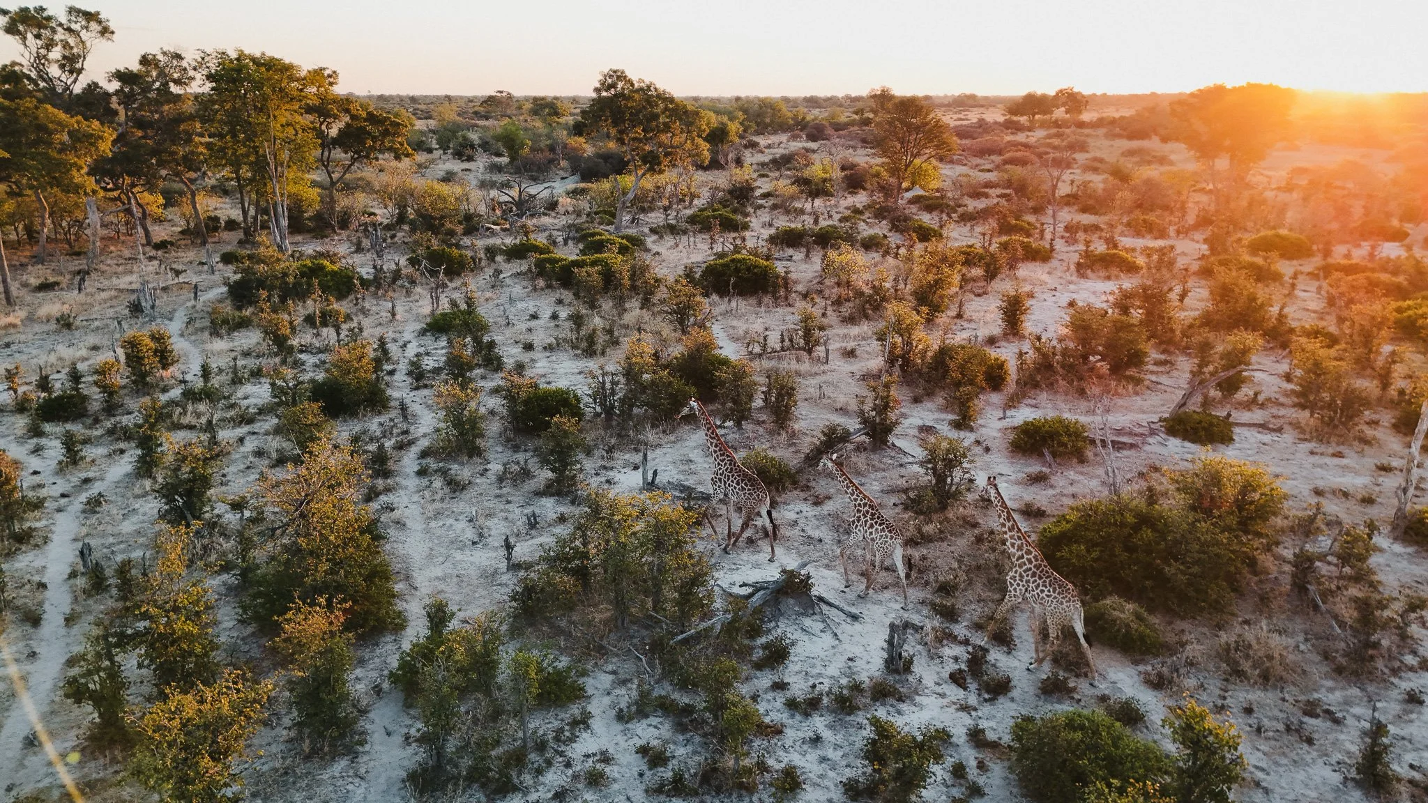 DJI_20250616185103_0765_D.jpg