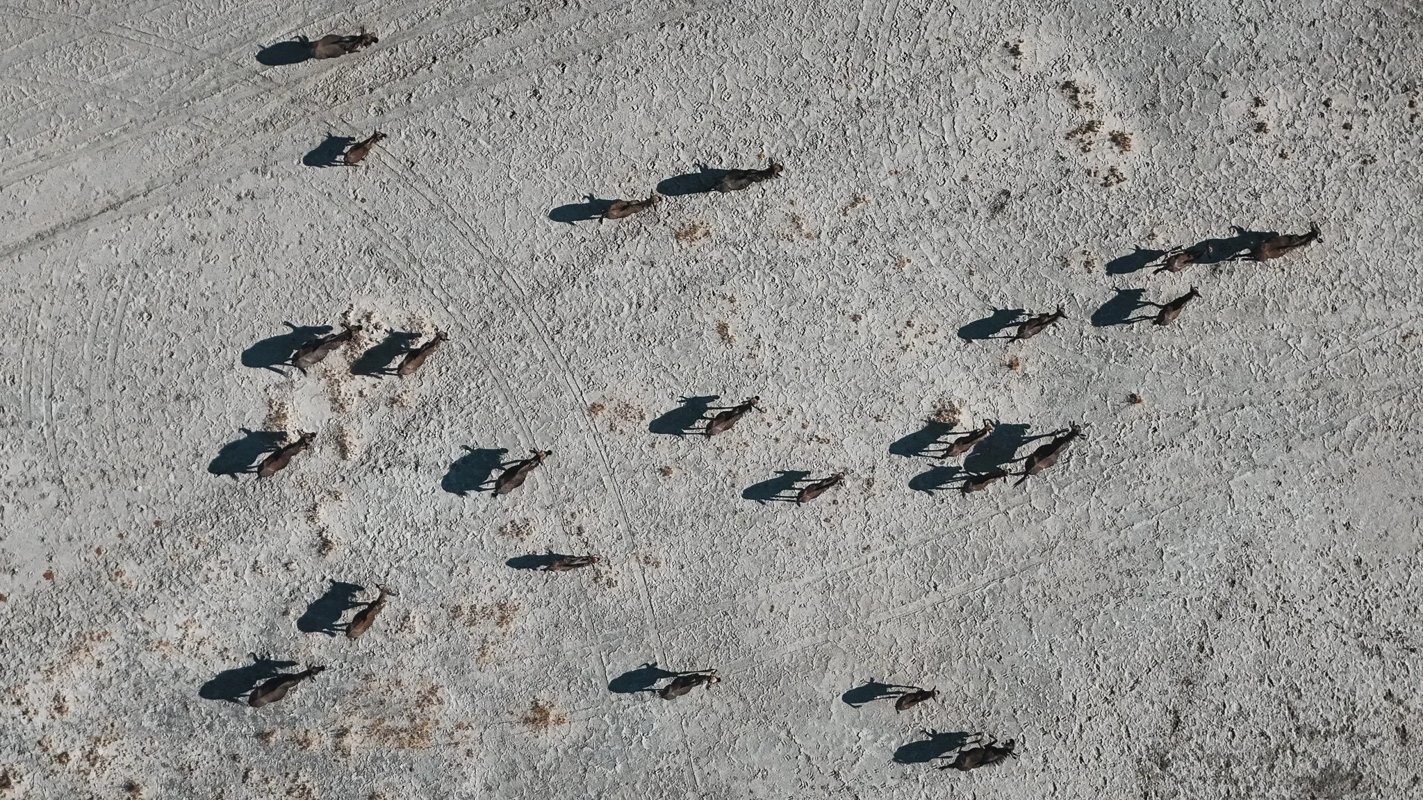 DJI_20250609155756_0060_D.jpg