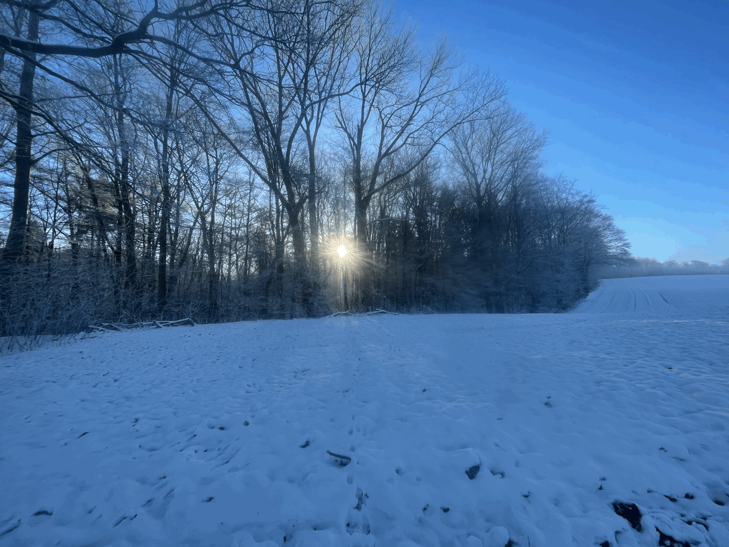 Geschichten und Hintergründe der Raunächte