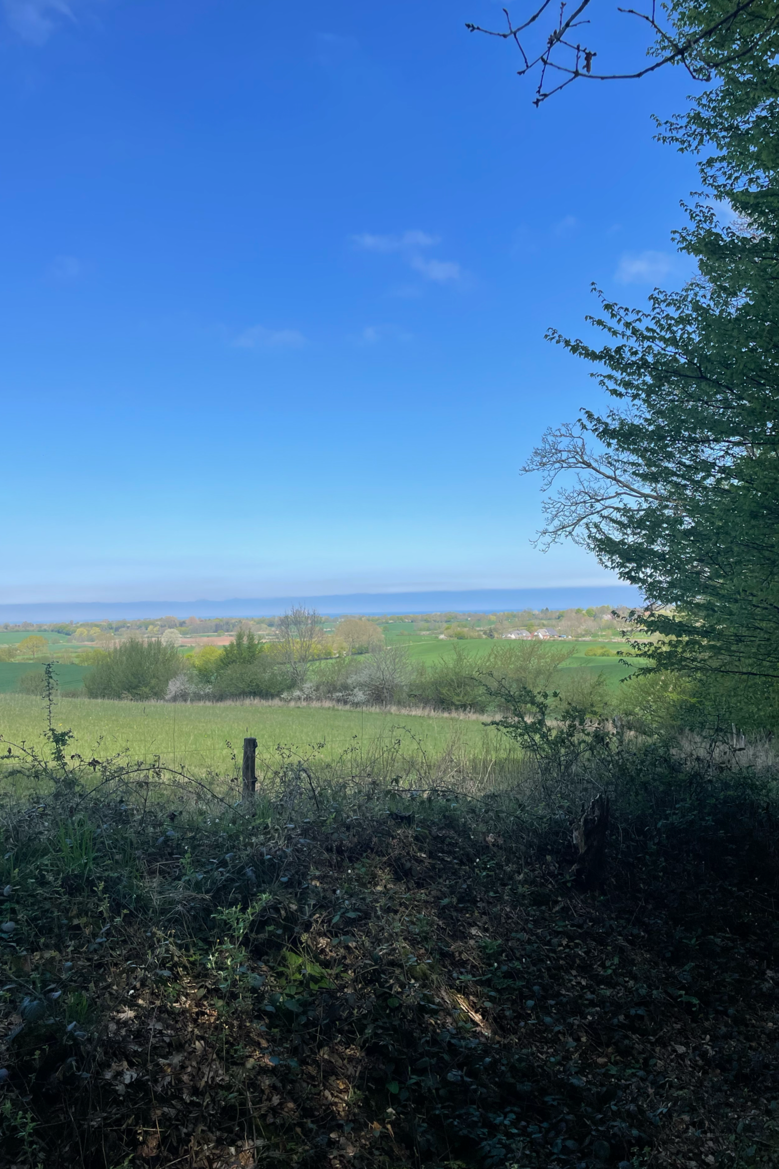 Blick auf die Ostsee