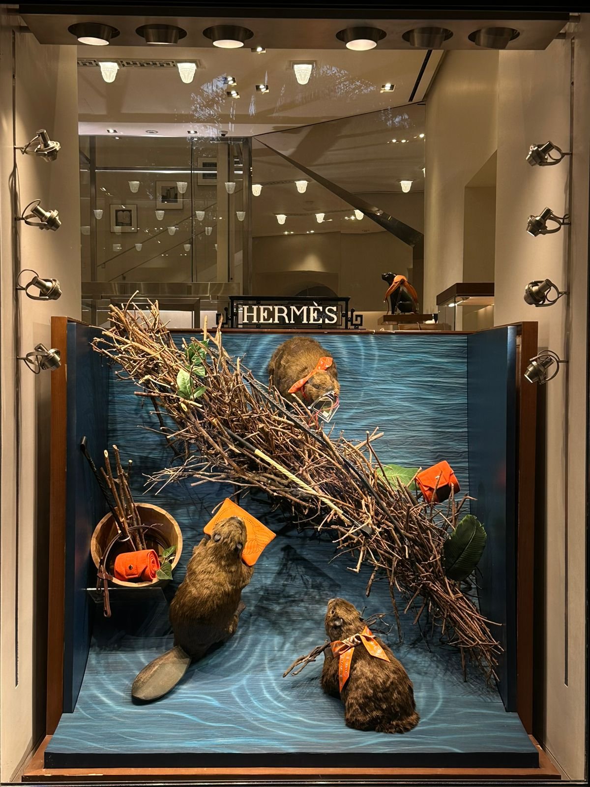 An image of Greenspacing.